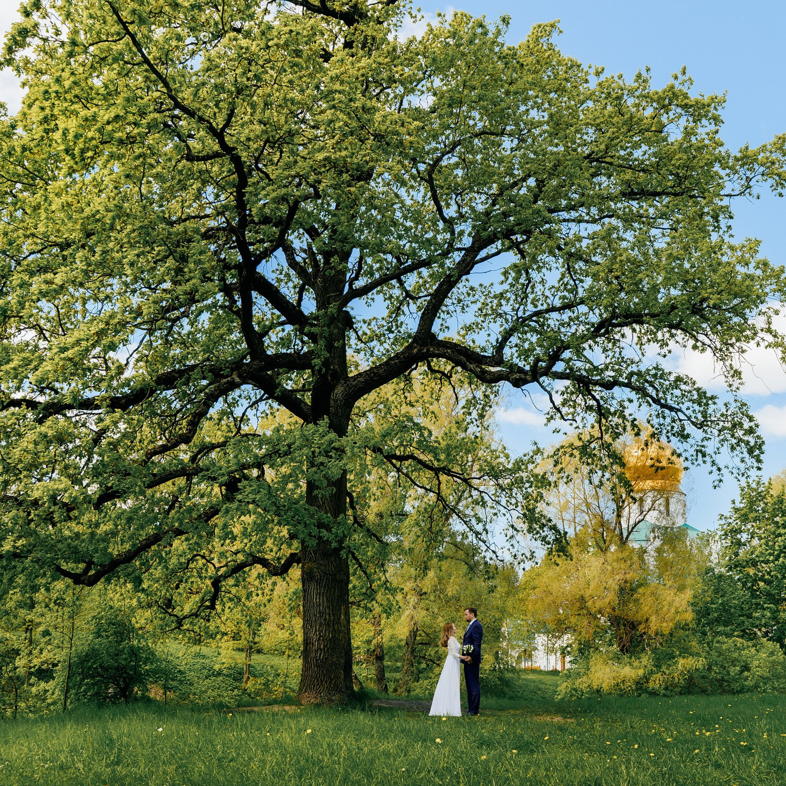 Портфолио. Свадебный и репортажный фотограф