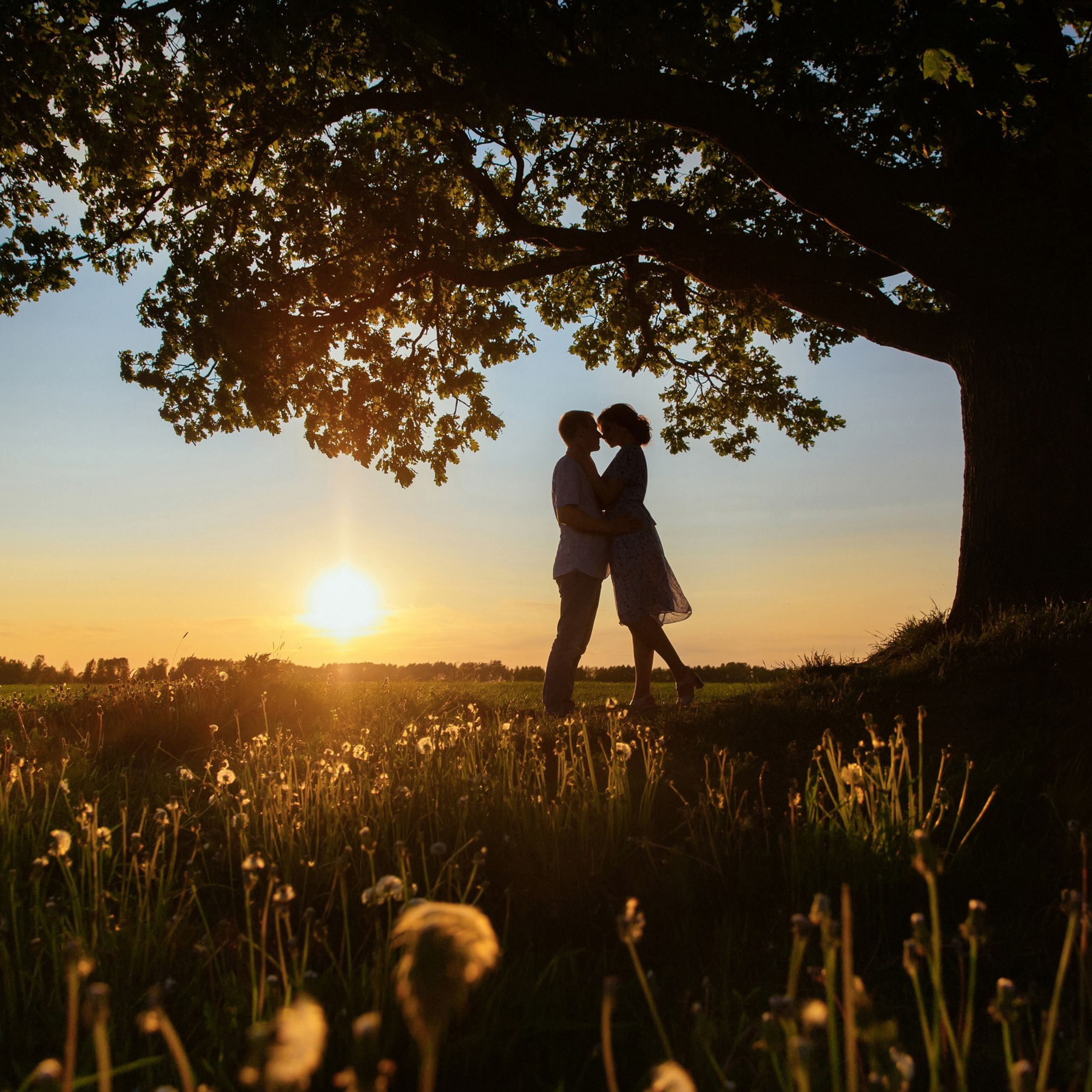 Портфолио. Свадебный и репортажный фотограф
