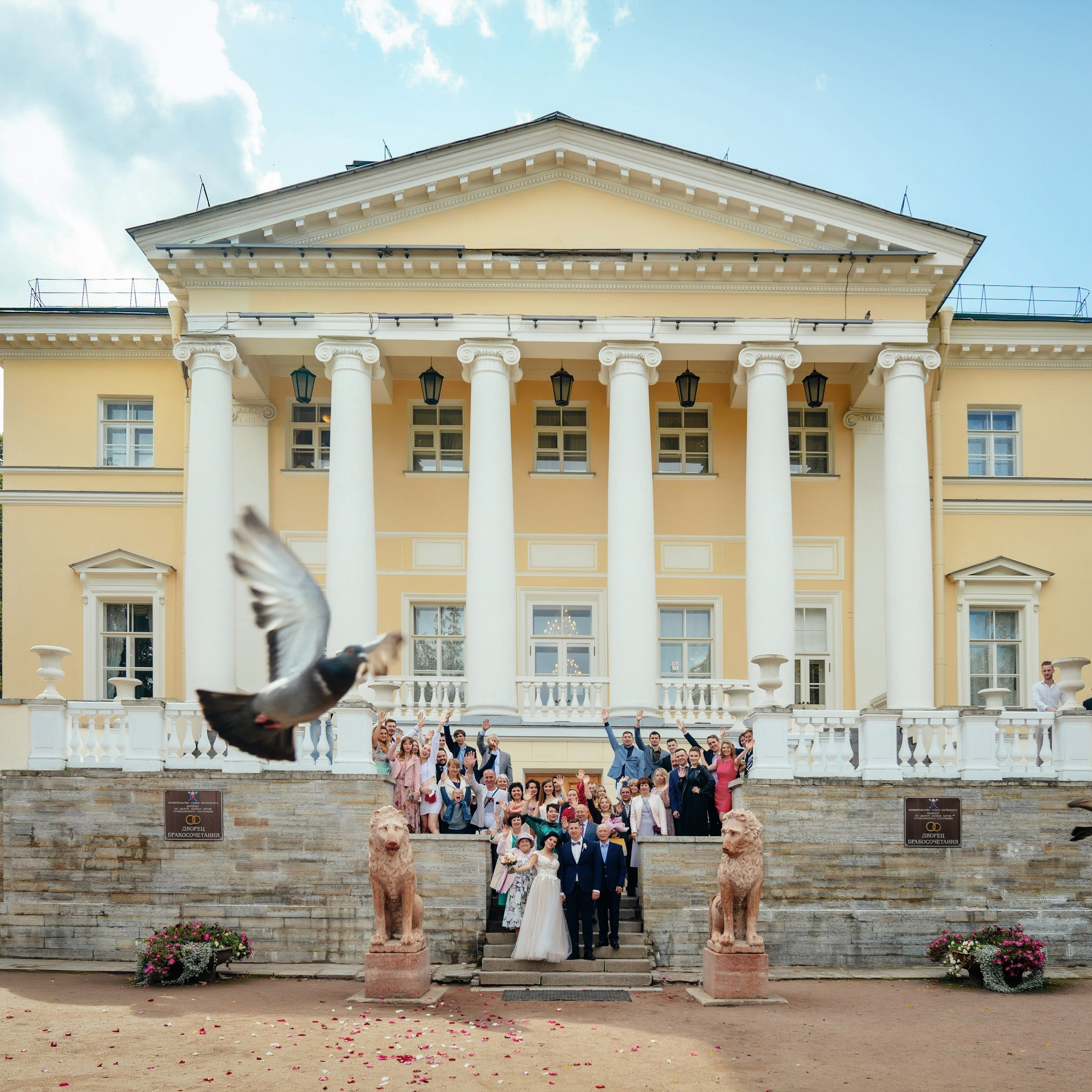 Портфолио. Свадебный и репортажный фотограф