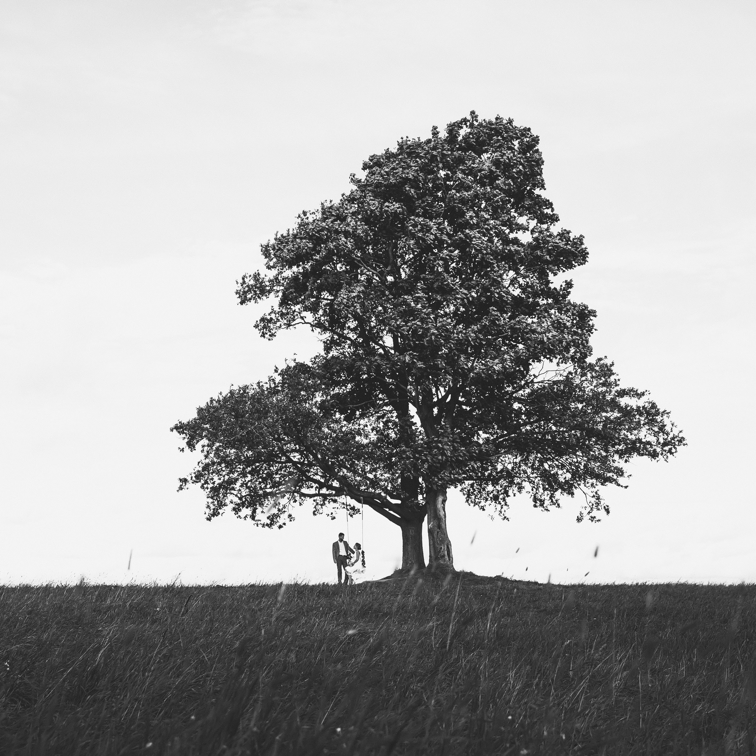 Портфолио. Свадебный и репортажный фотограф