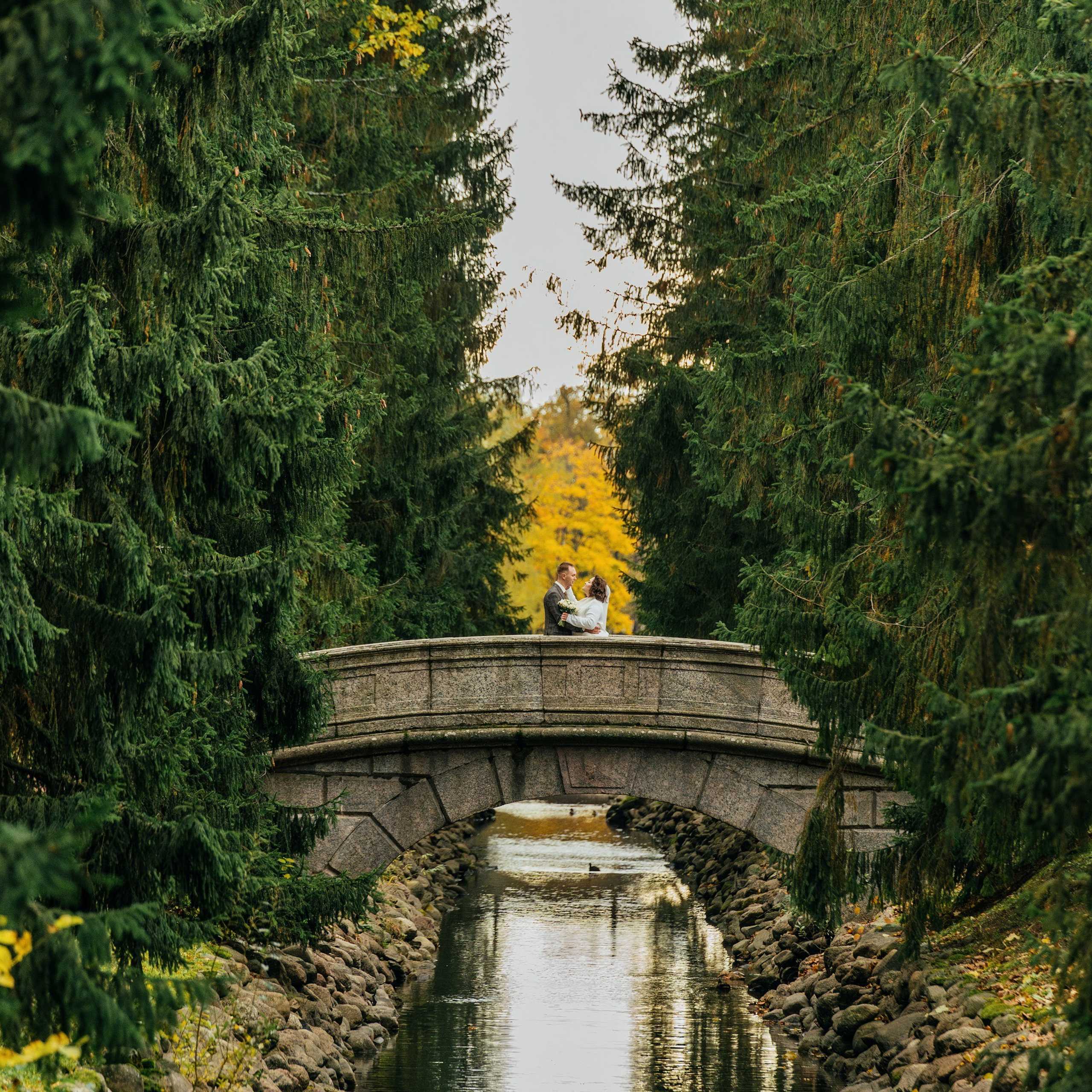 Портфолио. Свадебный и репортажный фотограф