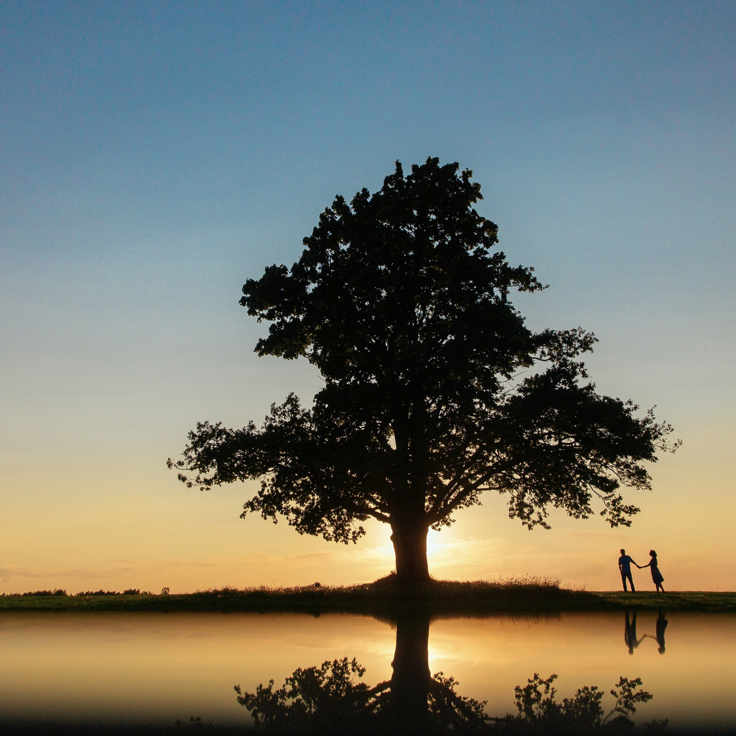 Портфолио. Свадебный и репортажный фотограф