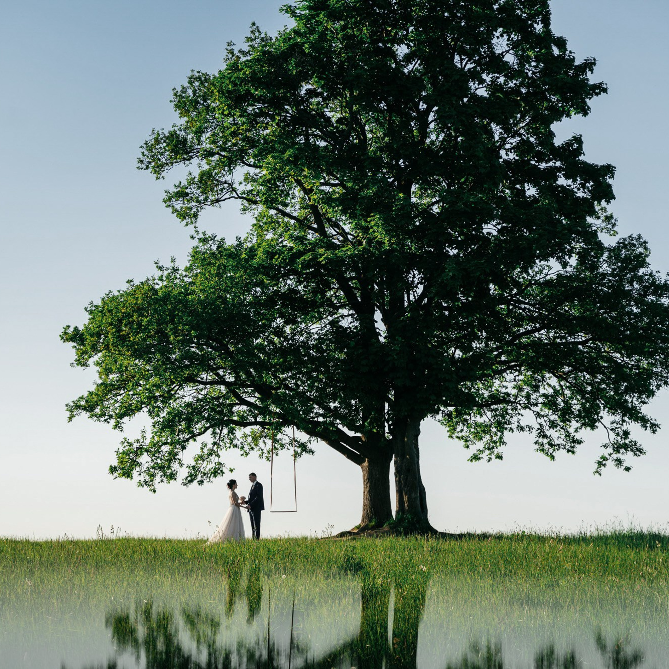 Портфолио. Свадебный и репортажный фотограф