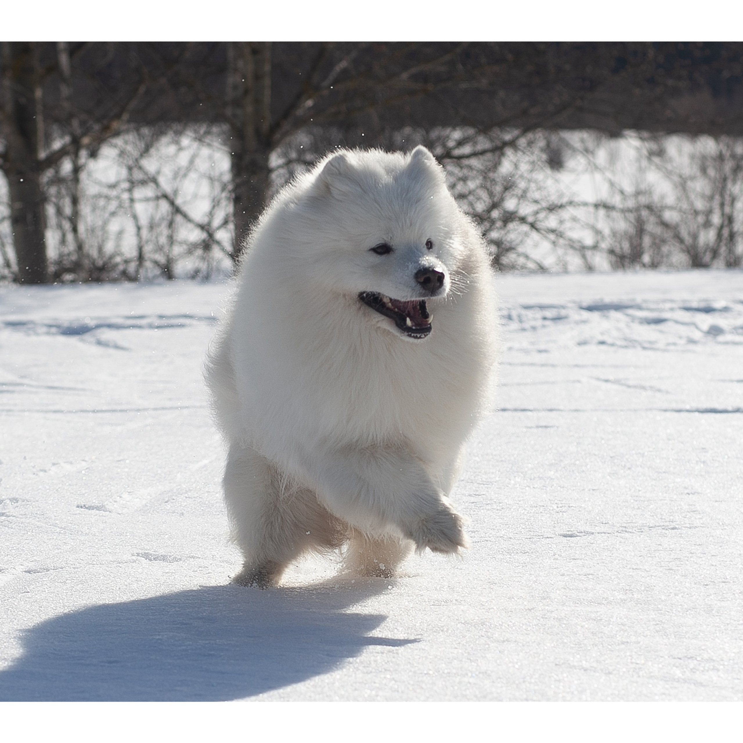 MOEVIR Mag. Позвольте миру взглянуть на вас!