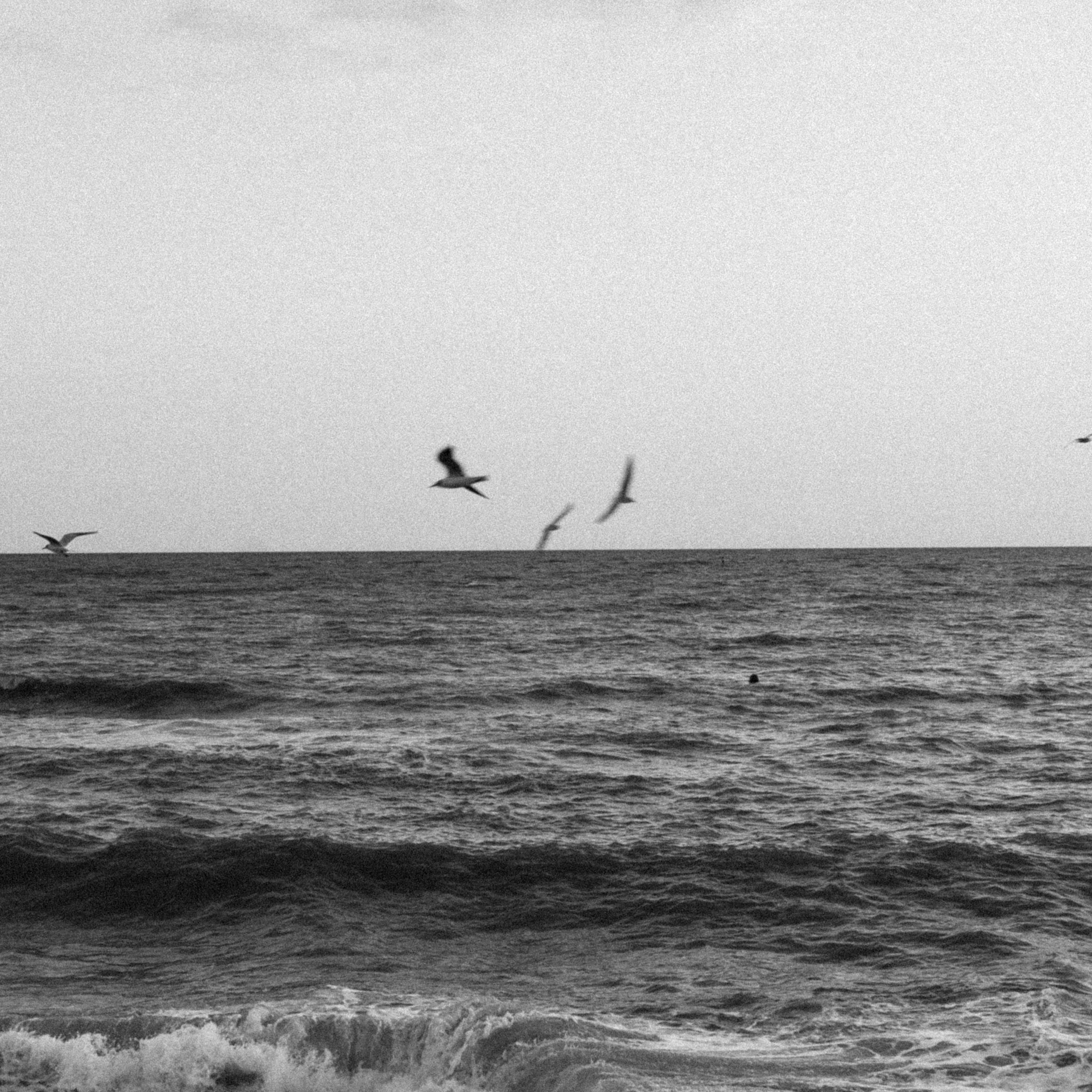 Полина март 23