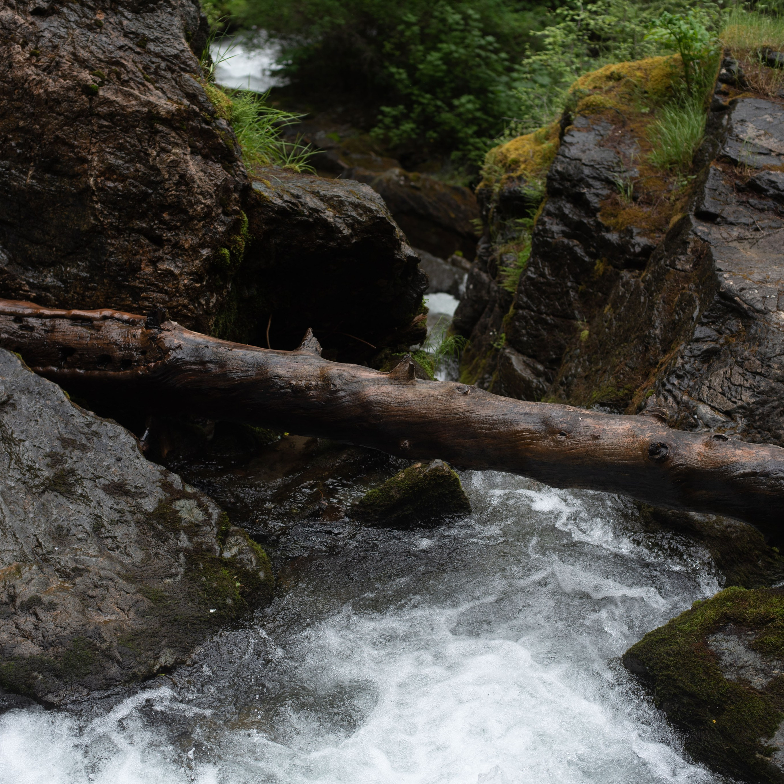 Алтай 2022. Главная