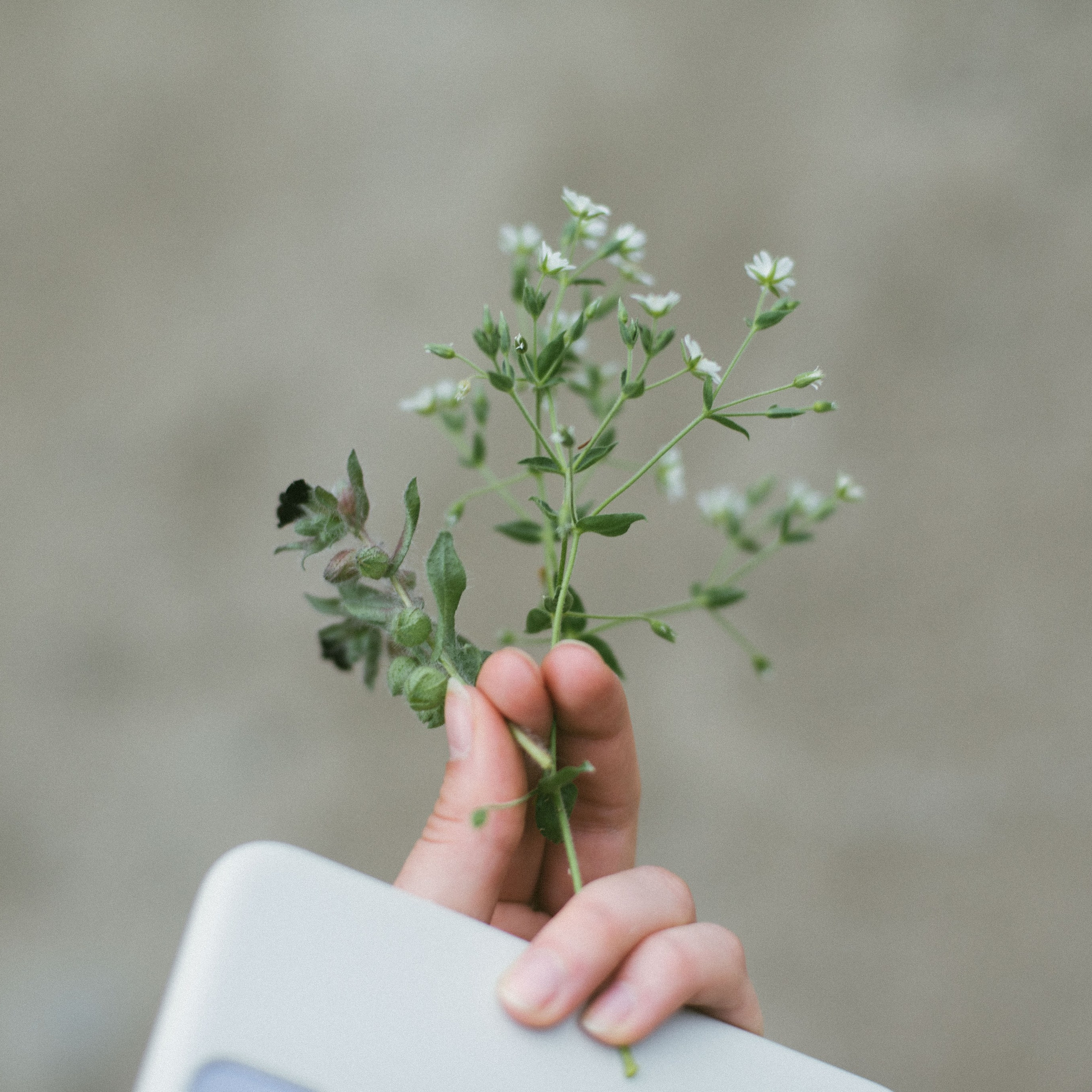 Алтай 2022. Главная