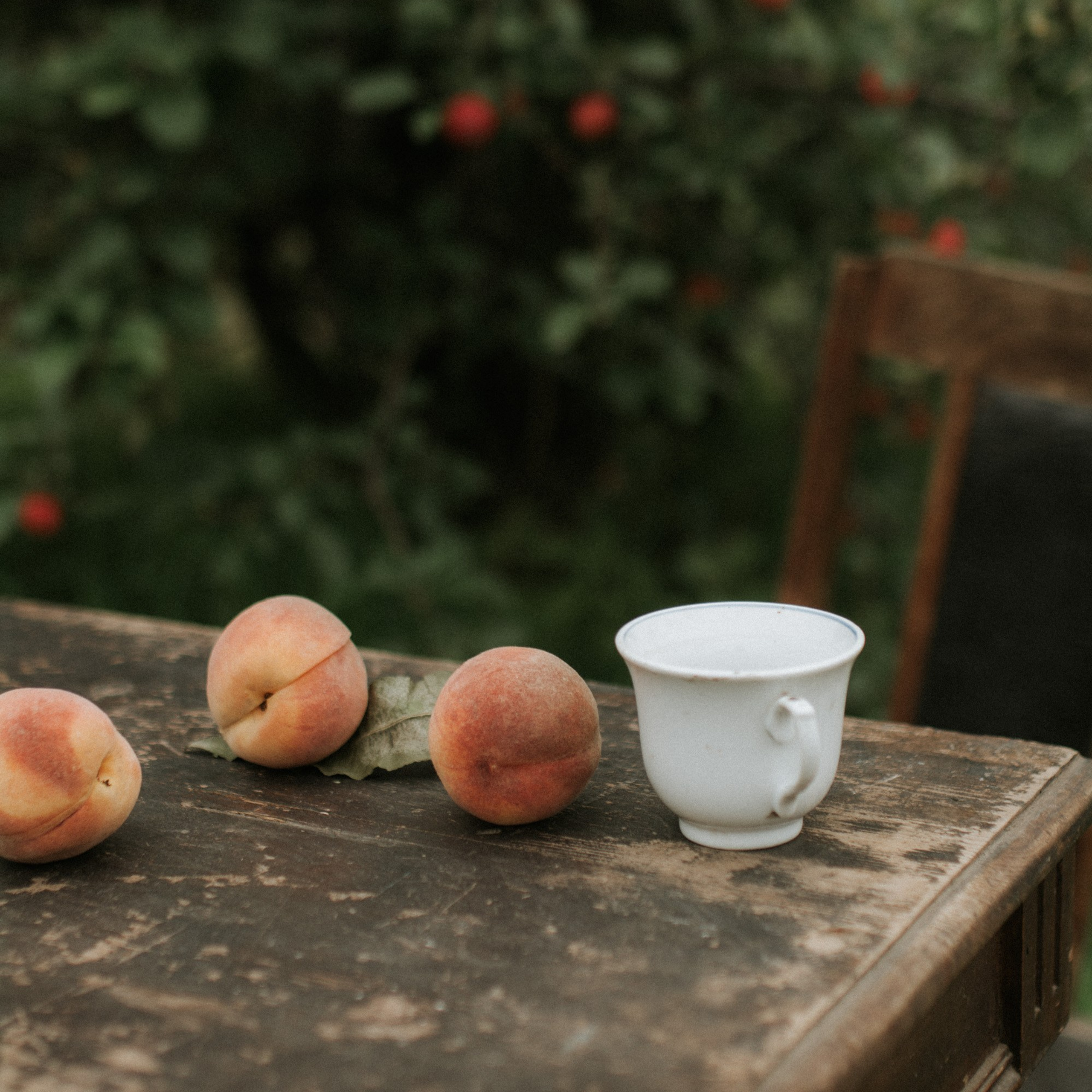 Ира. Главная