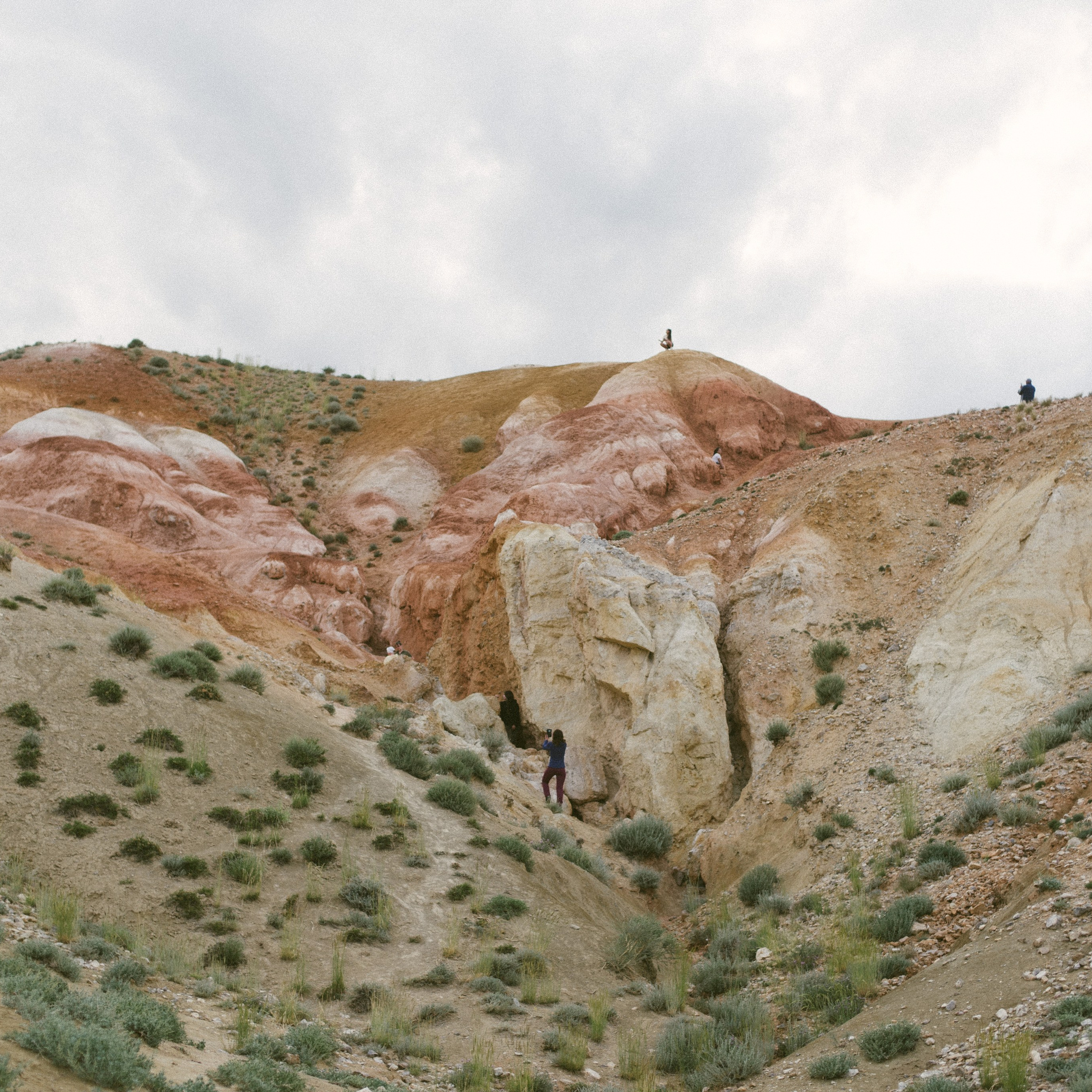 Алтай 2022. Главная