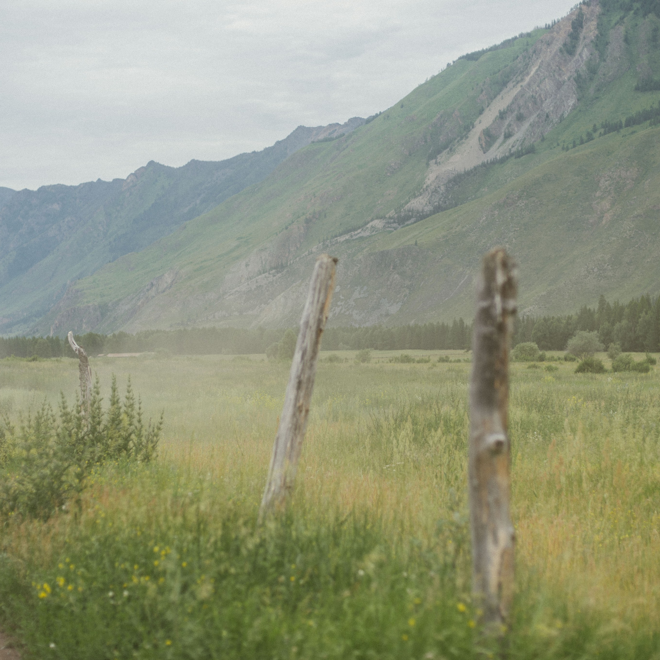 Алтай 2022. Главная