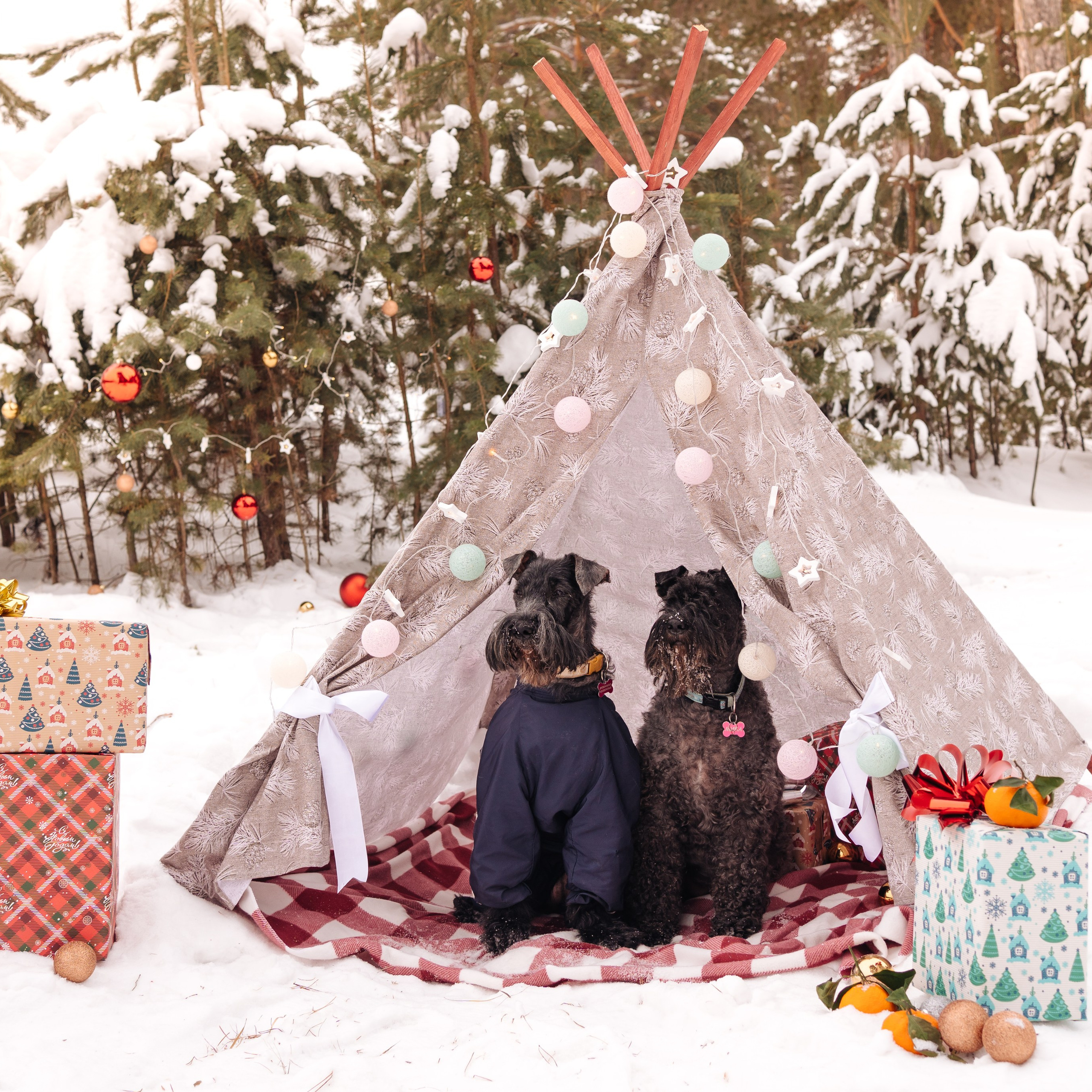 г. Миасс 2023-2024