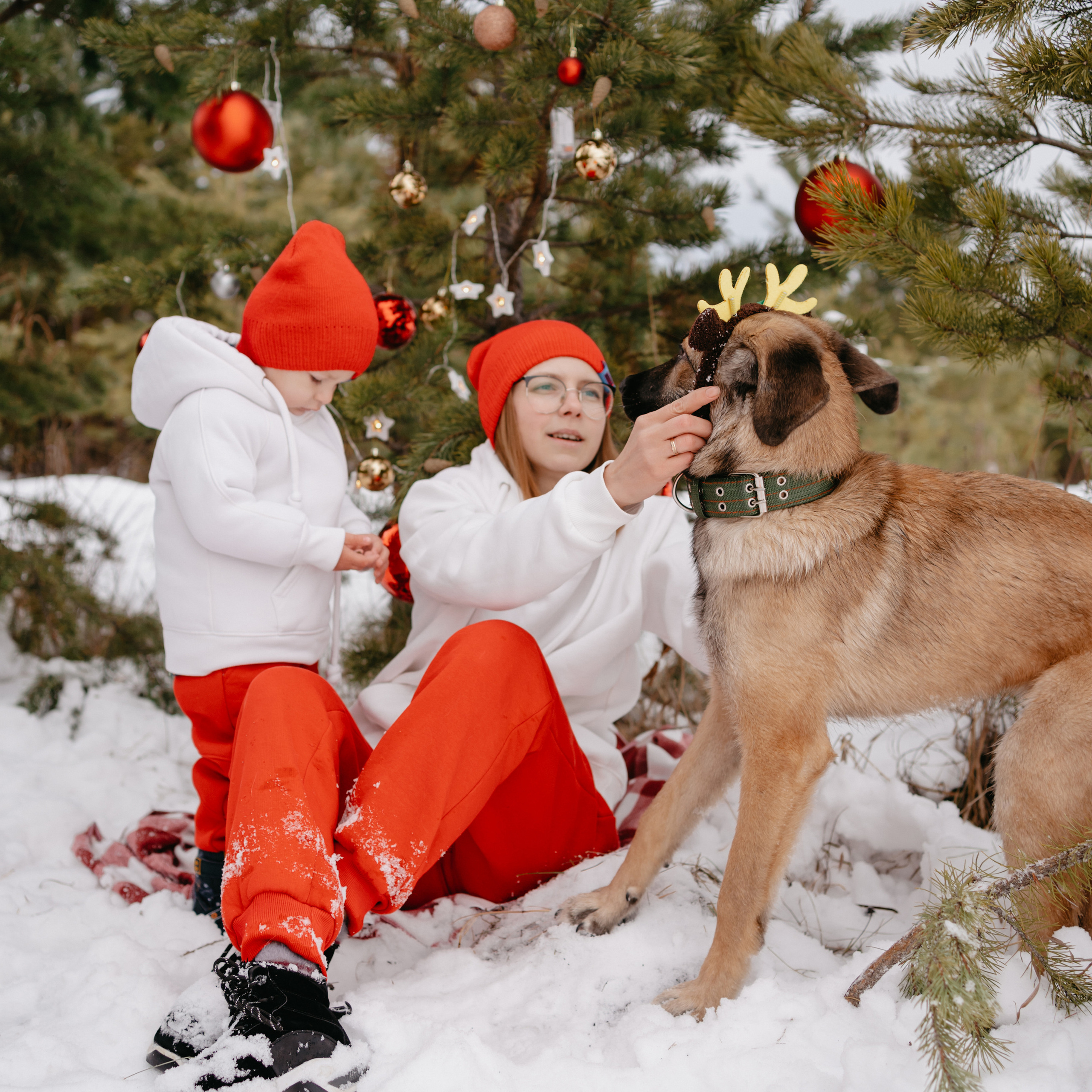 Отзывы. Фотограф-анималист Анастасия Большакова