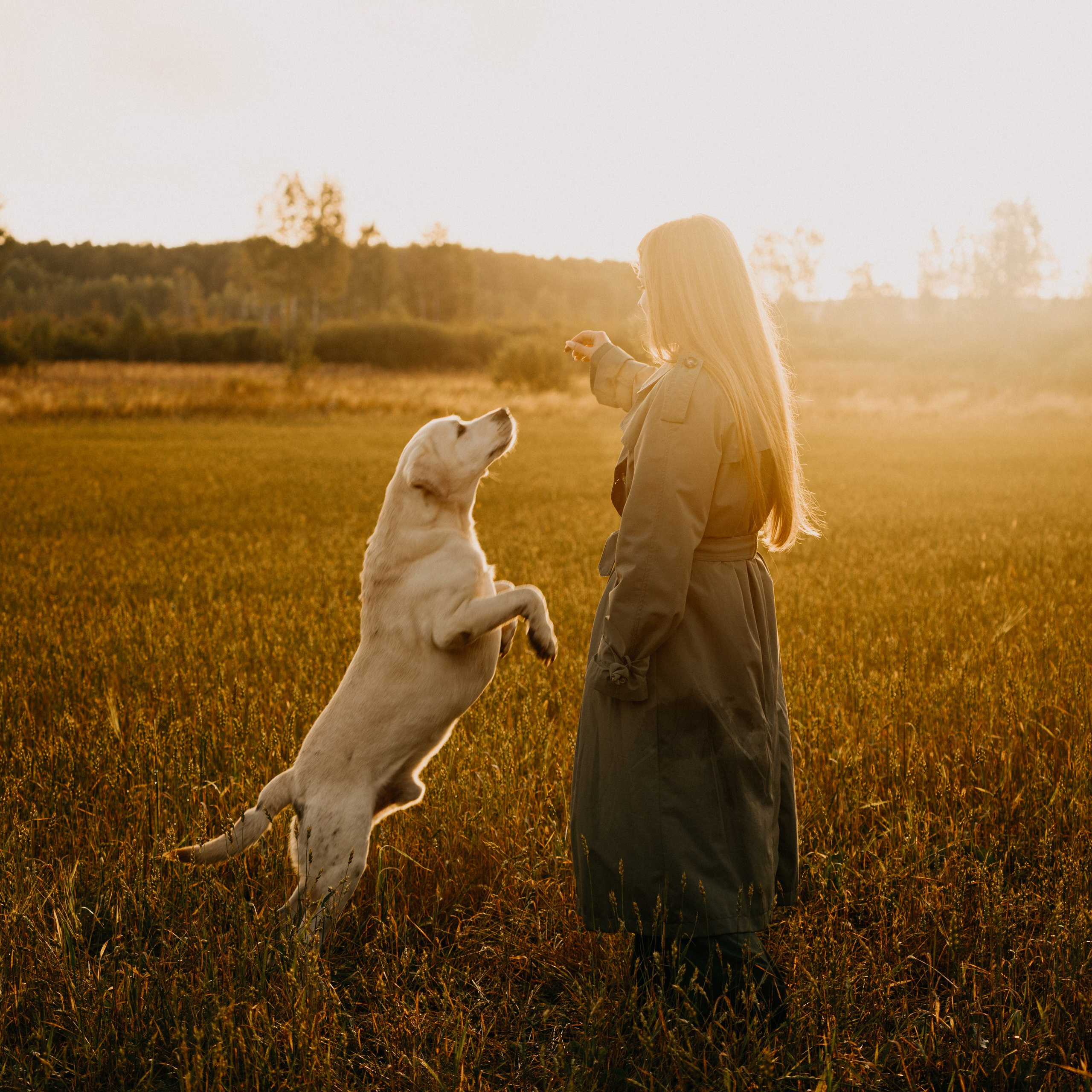 Дана и Арчи