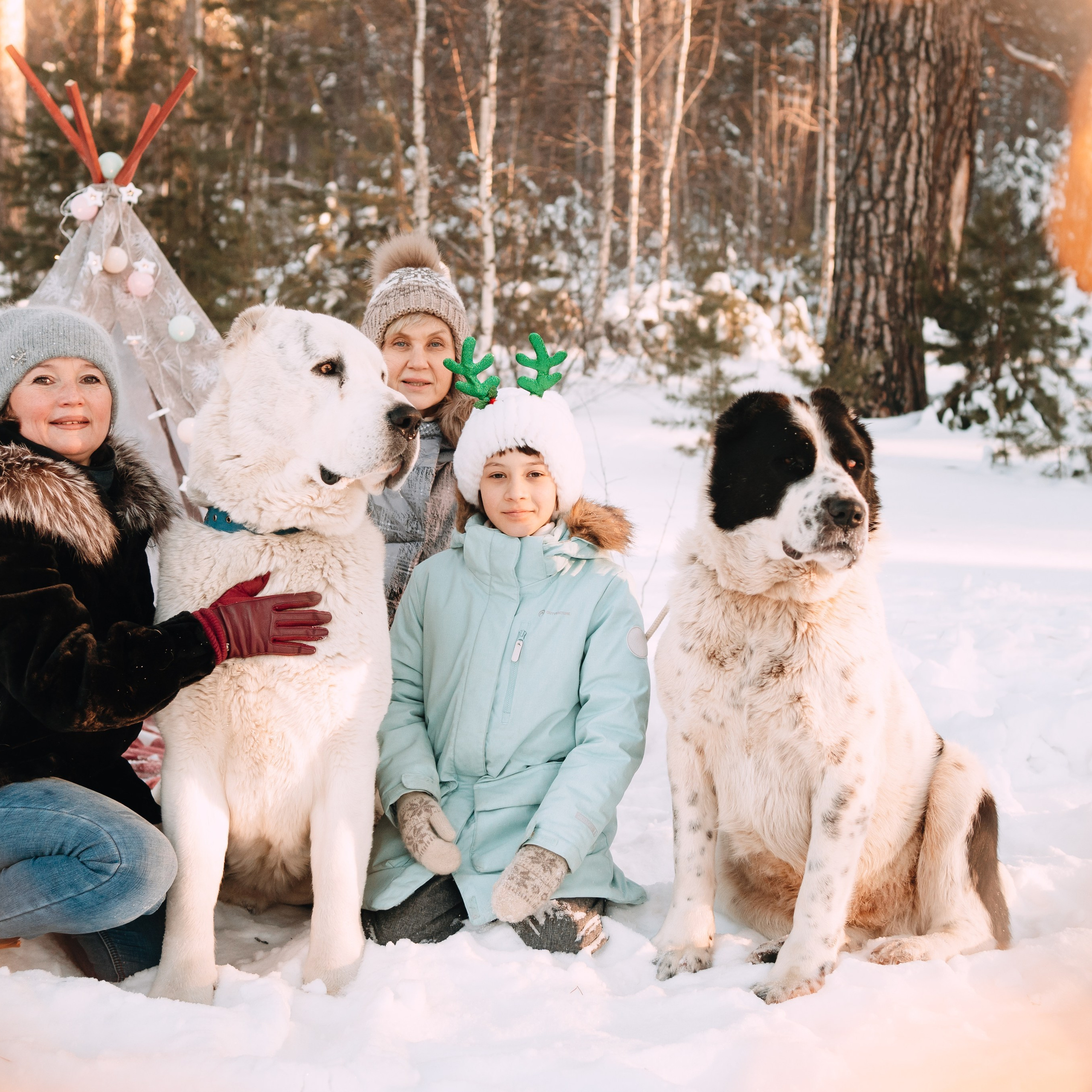 Отзывы. Фотограф-анималист Анастасия Большакова