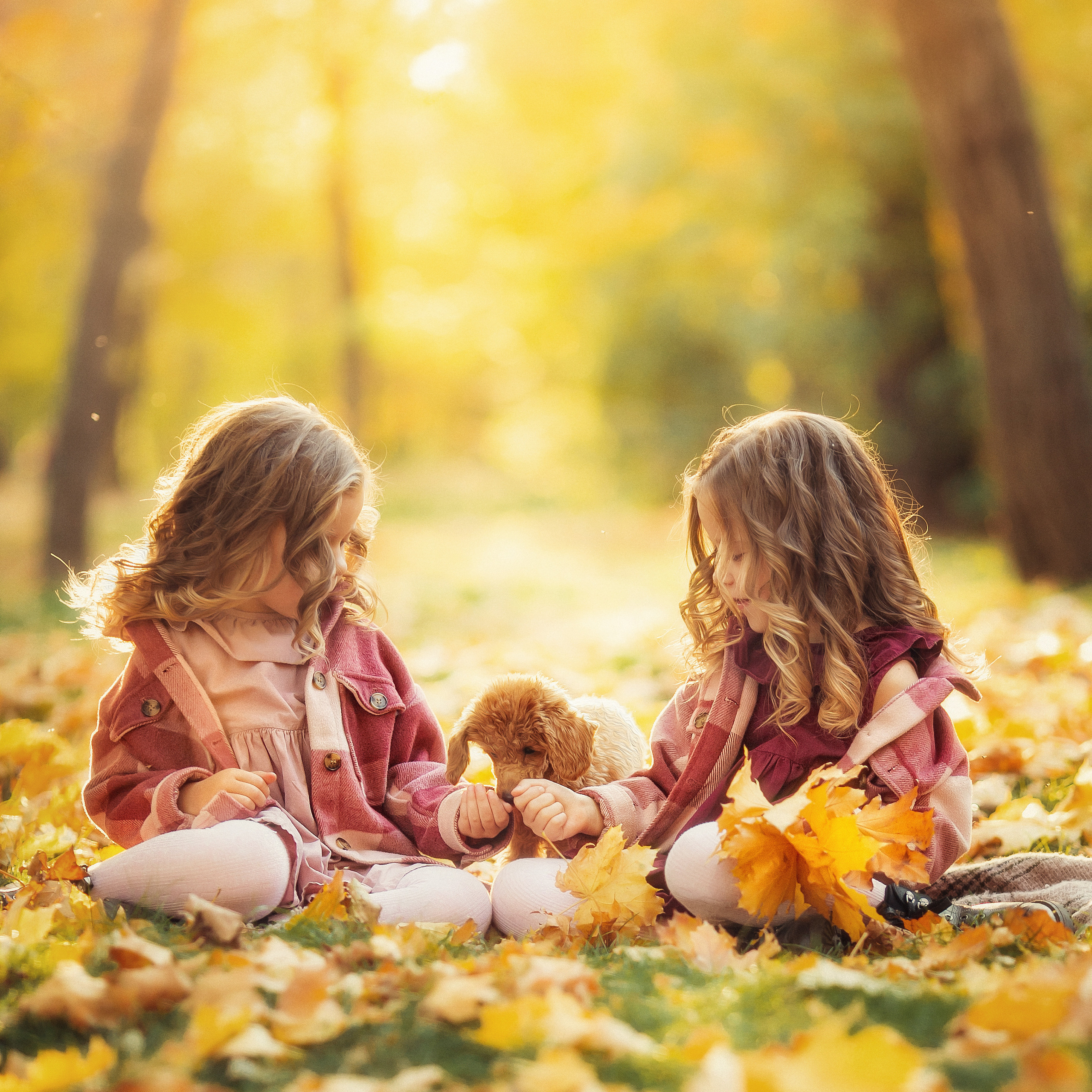 Свадебный и семейный фотограф  Новочеркасск Виктория Литвиненко