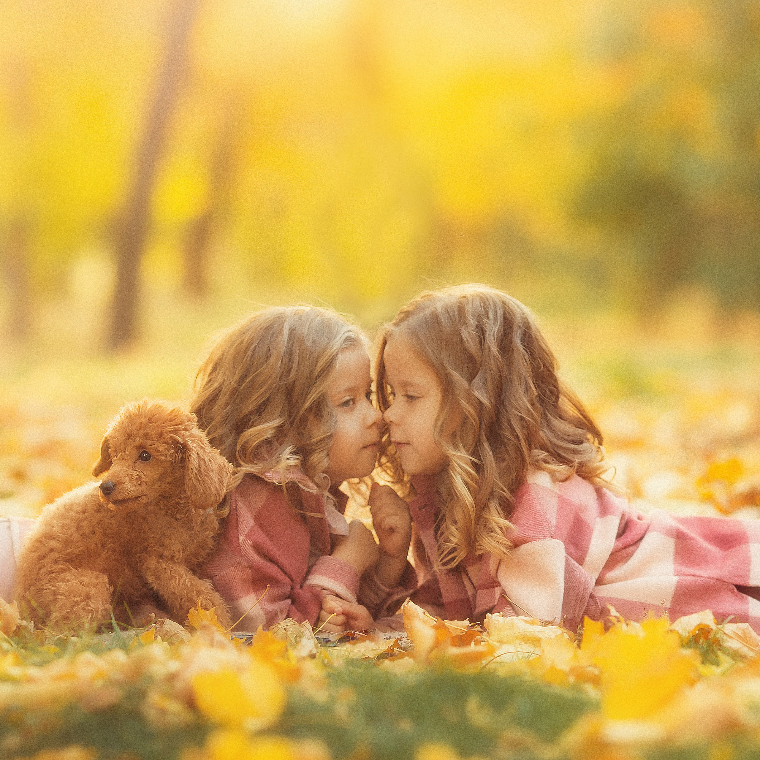 Даша и Алиса