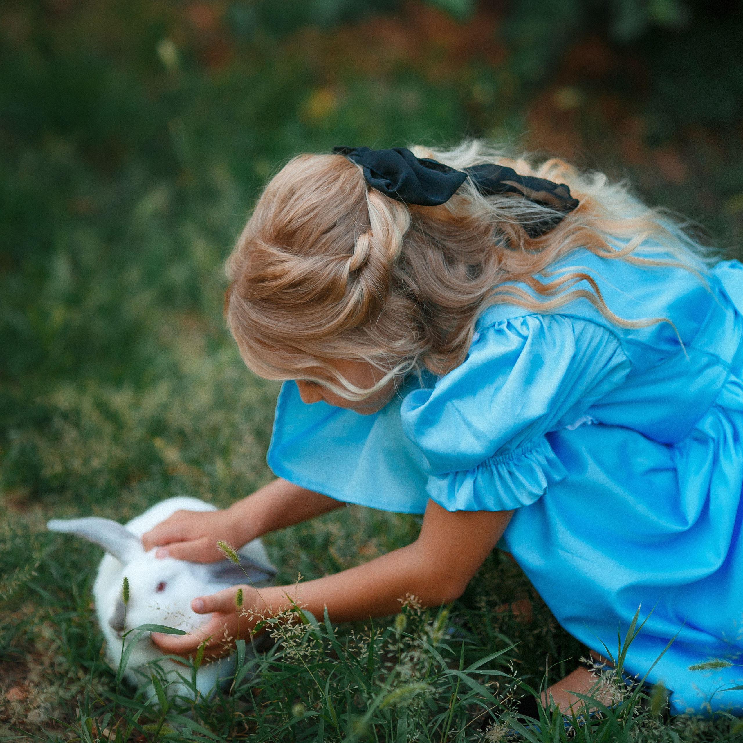 Алиса в стане чудес