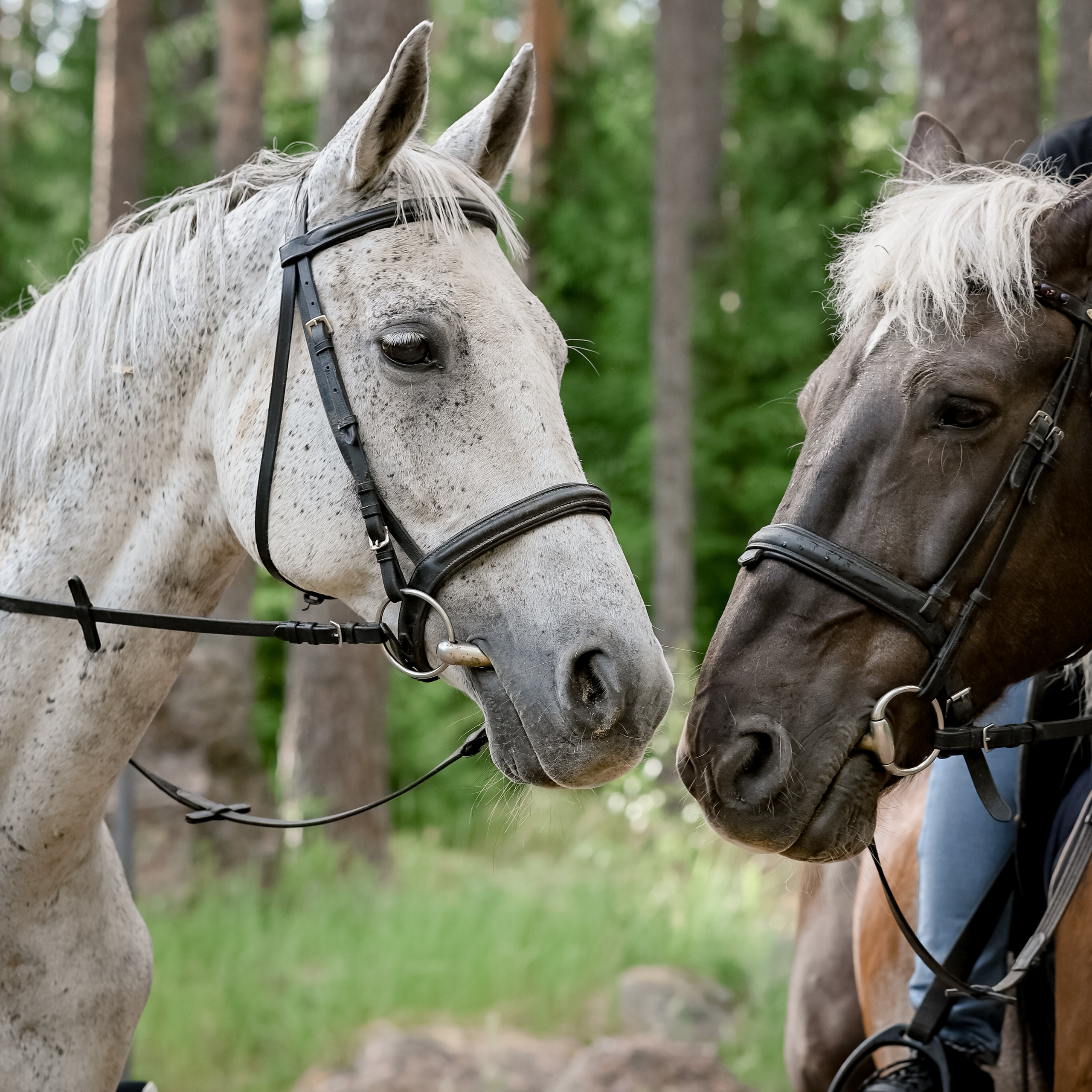 Истории. LifeStyle фотограф Анна Воробьёва Санкт-Петербург