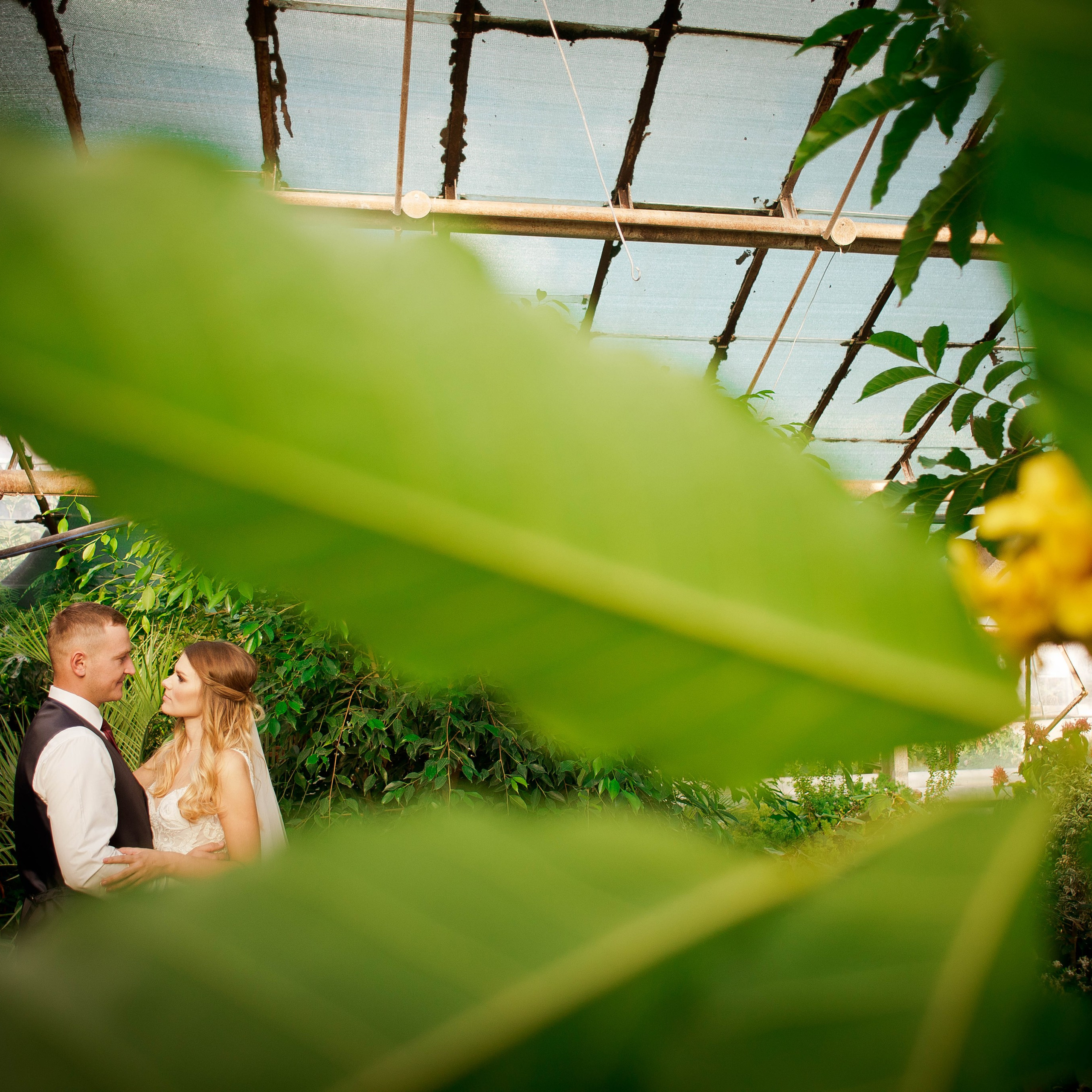 Дмитрий и Наталья