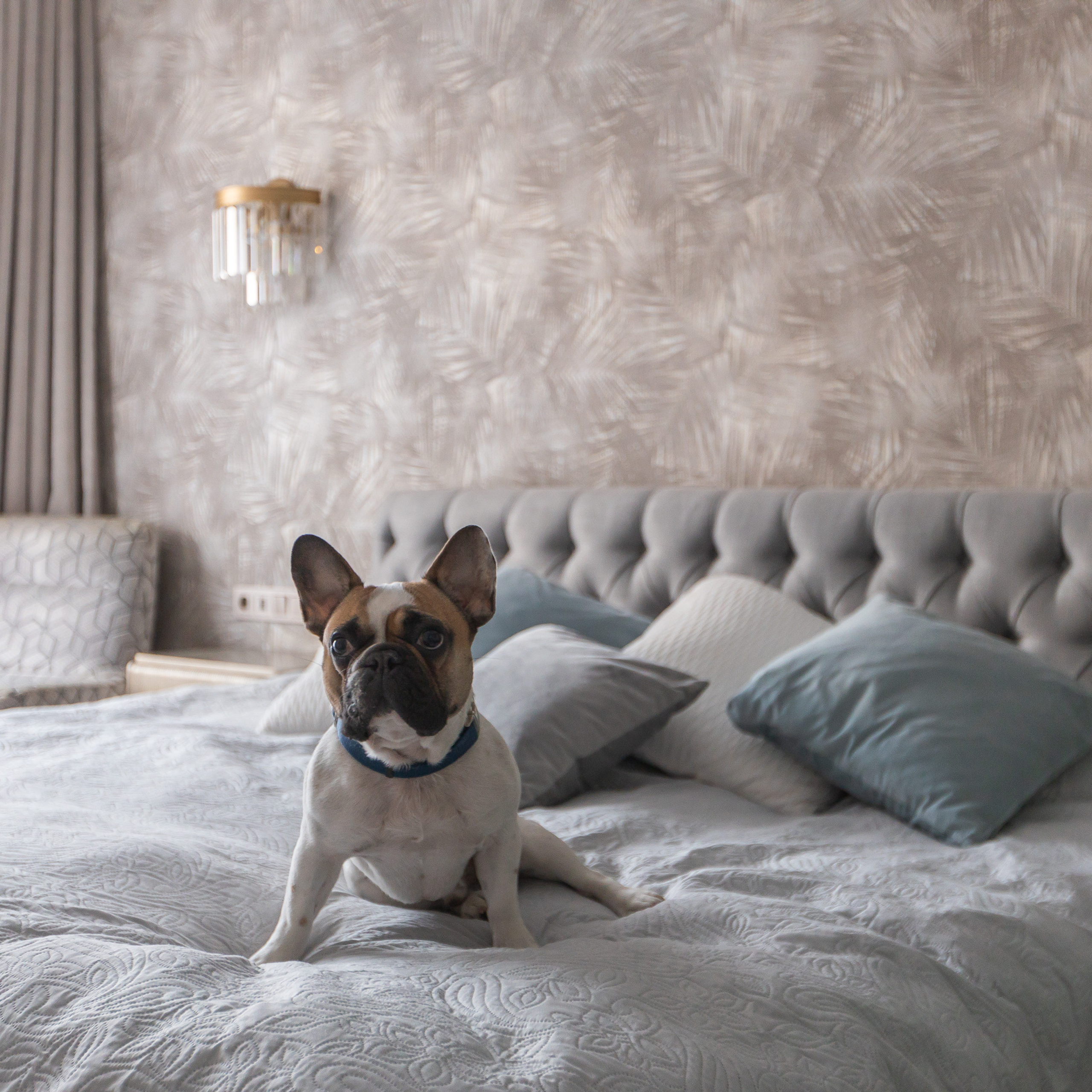 Отзывы. Интерьерный фотограф в Москве Роман Потапов