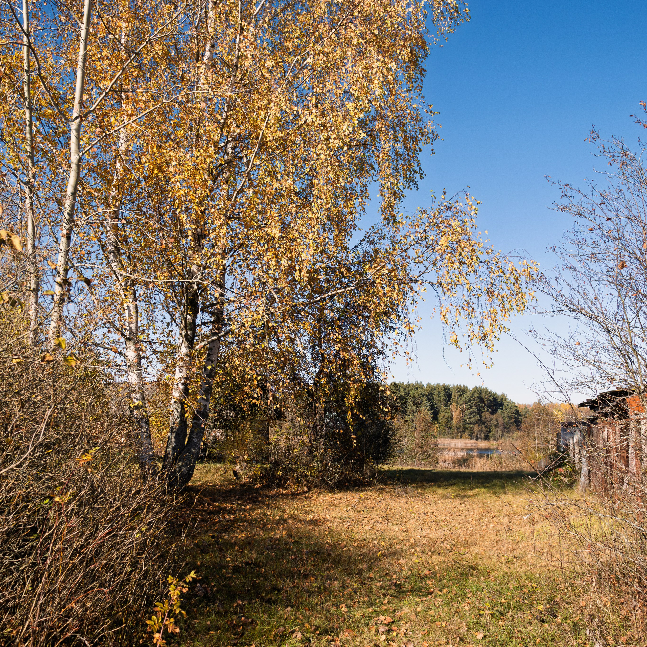 Голубые озера, Псковская область. Октябрь 2024