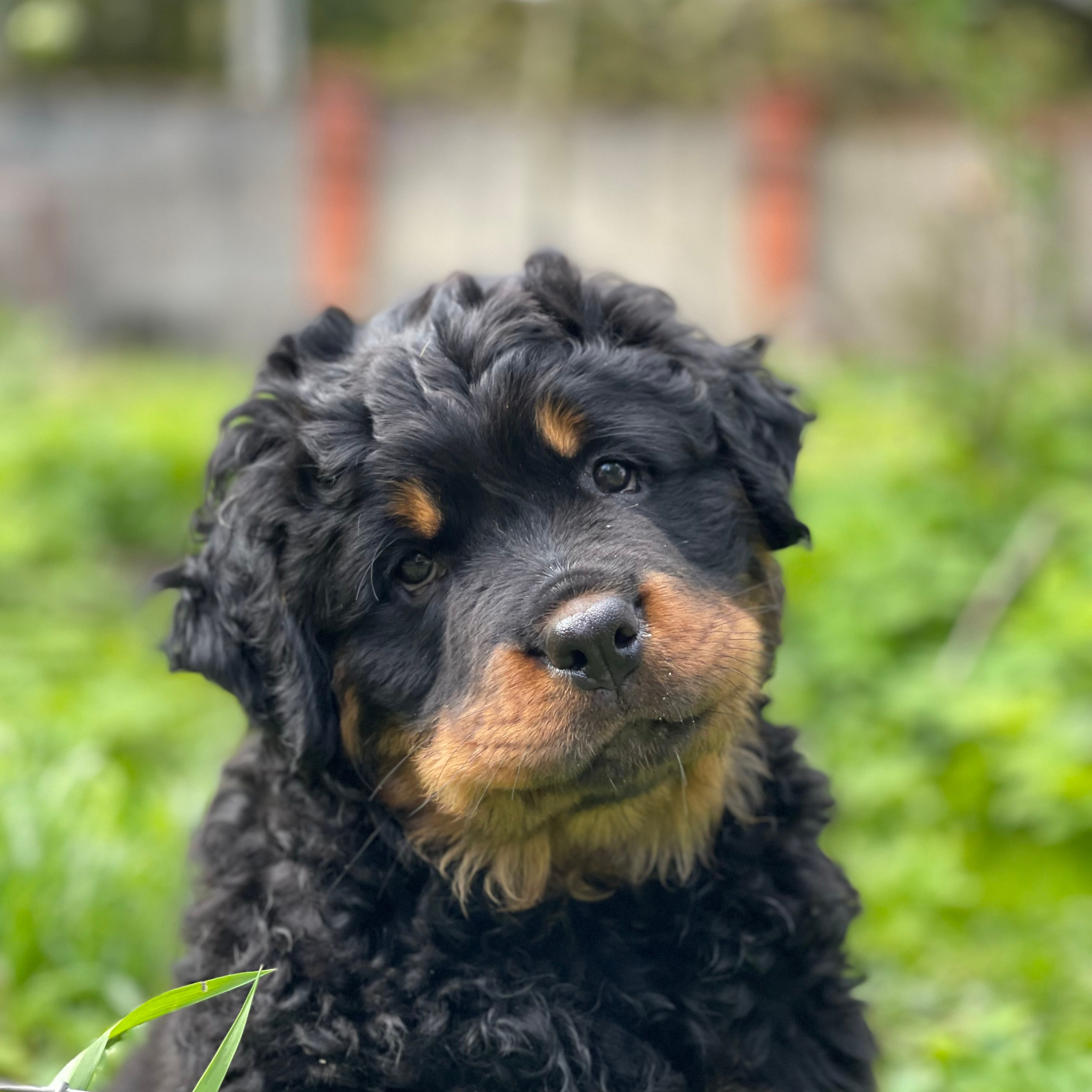 Международная онлайн-фотошкола Сергея Рожнова