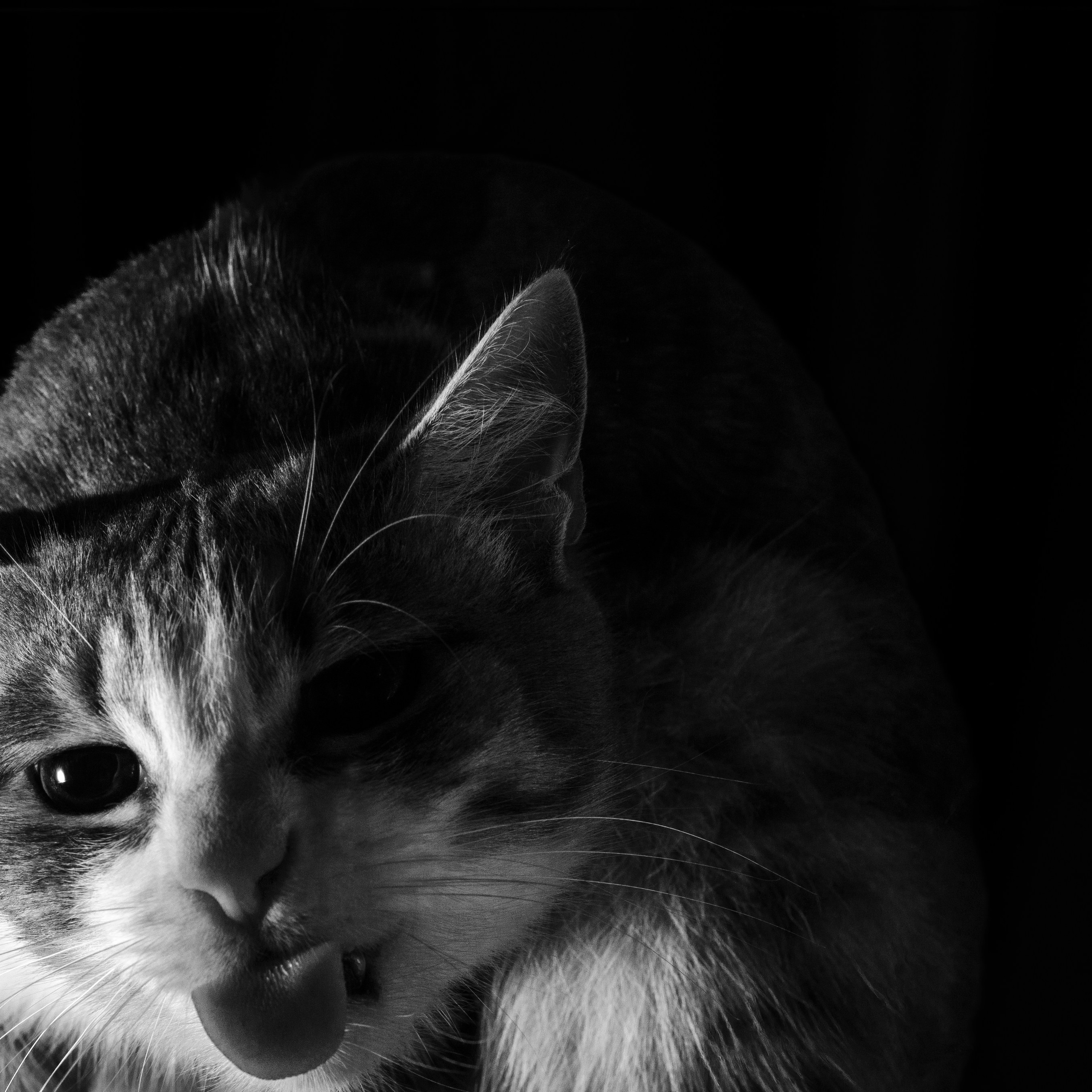 Учебник фотографии. Международная онлайн-фотошкола Сергея Рожнова