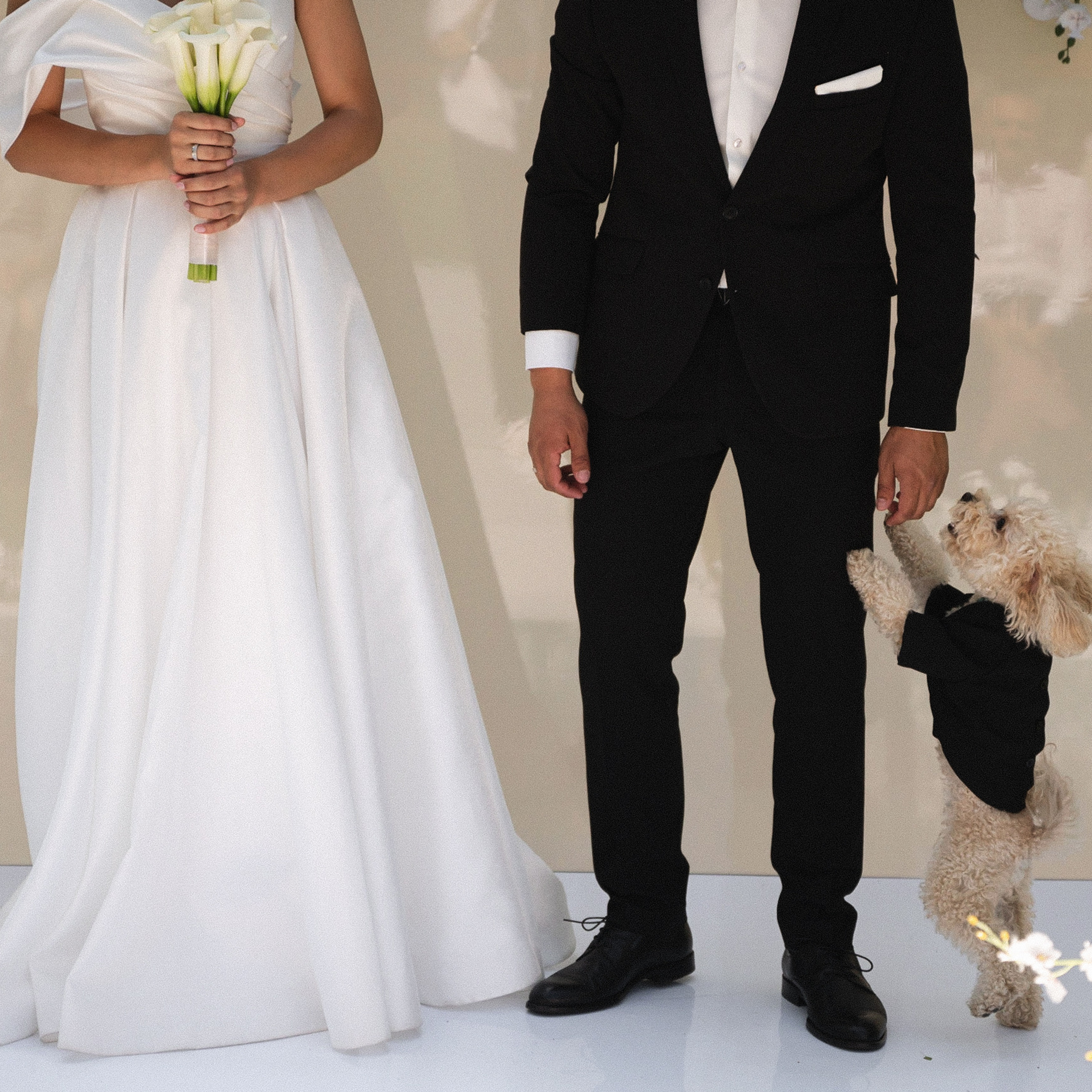 LUV. Свадебный фотограф Наталья Доронина