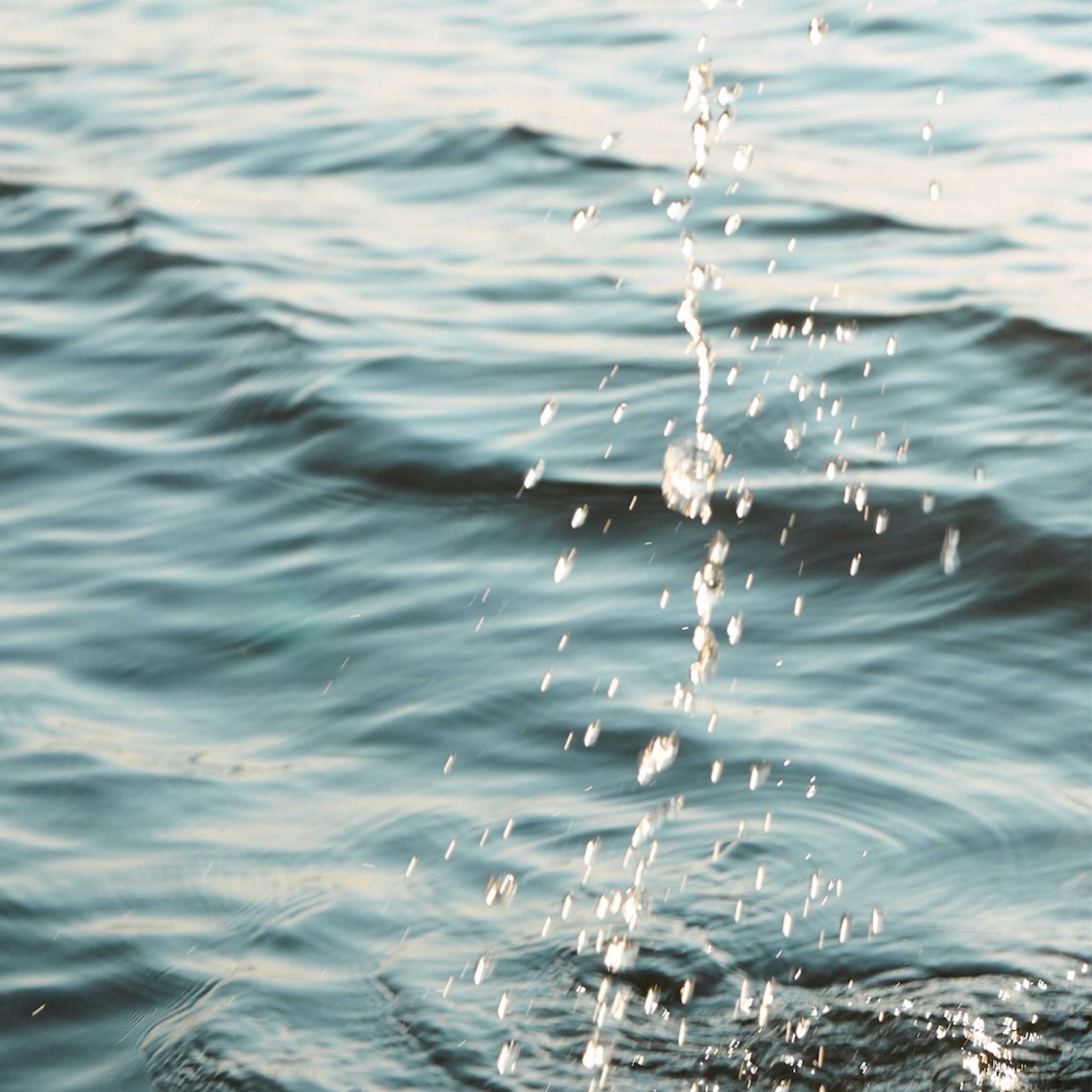 Марина Земскова. Автор видео — Эльдар Март