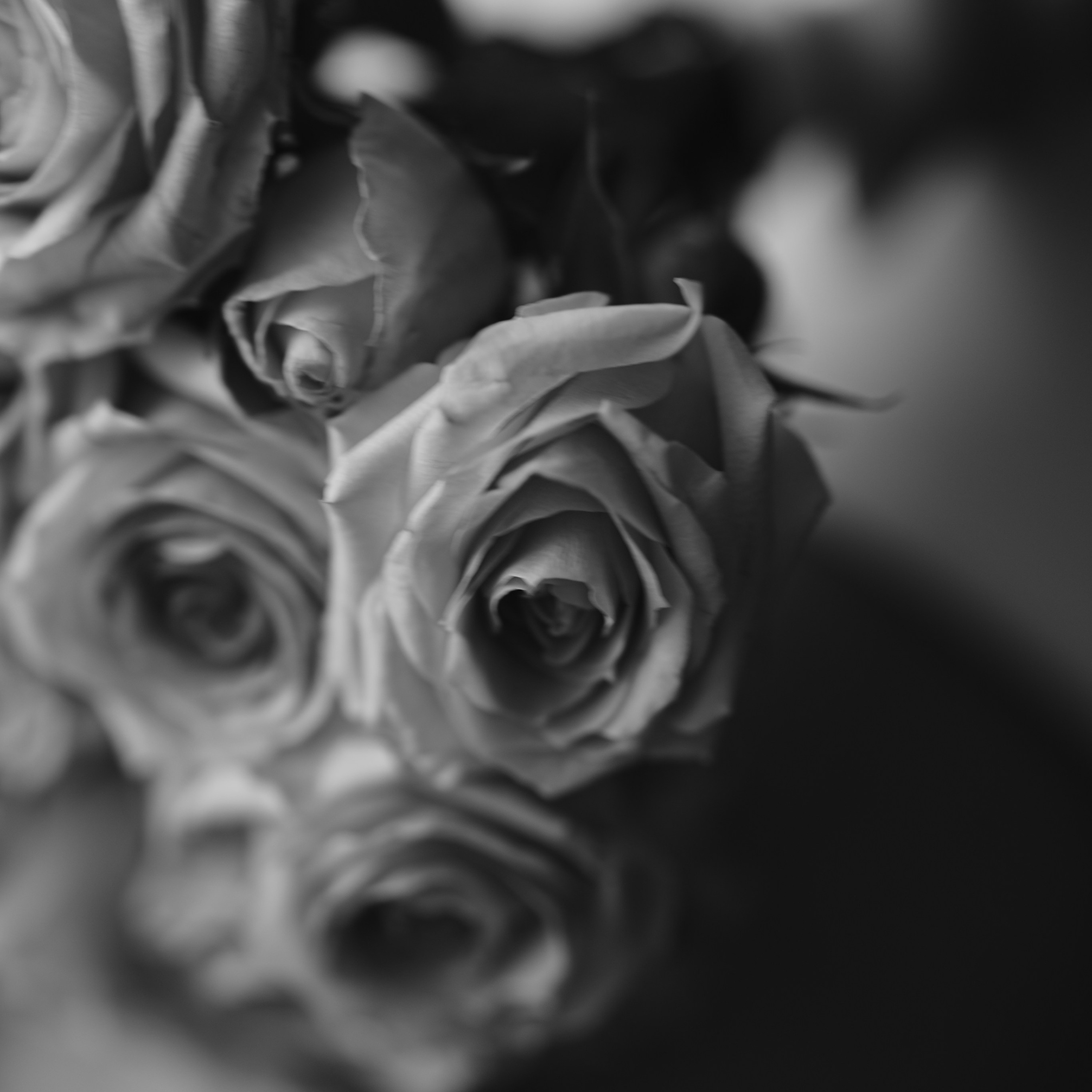 Ева и Арсений. Автор видео — Эльдар Март