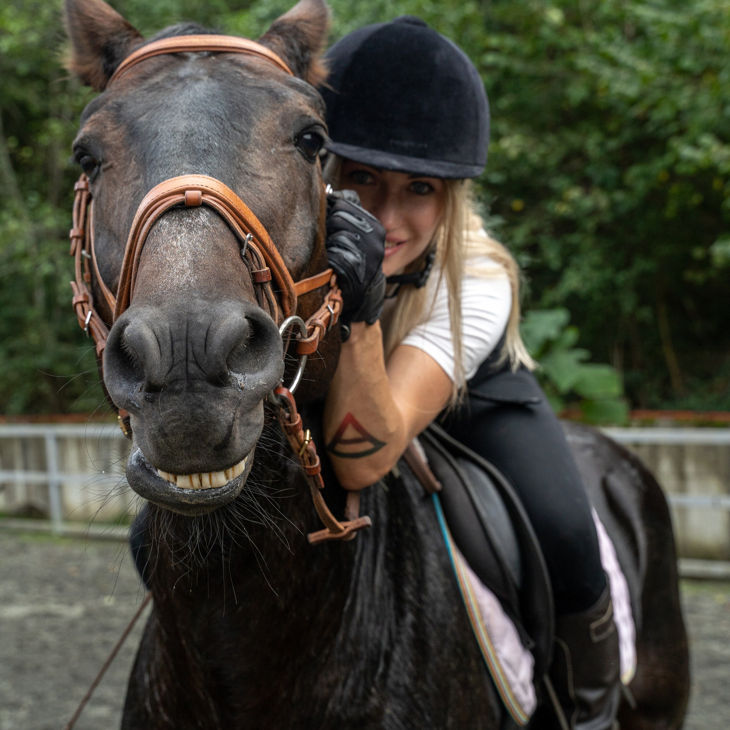 Верховая езда