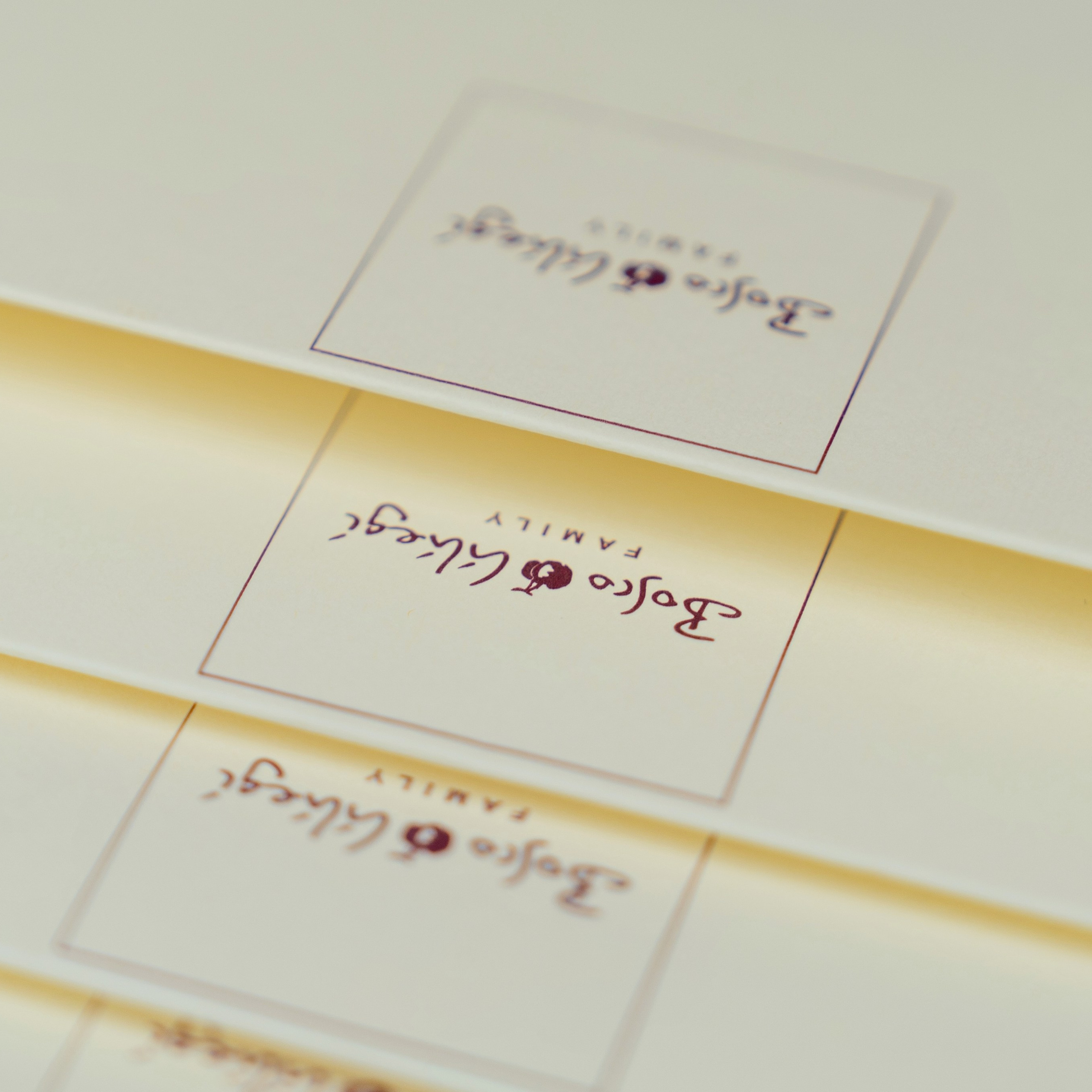 Открытие магазина Bosco в Геленджике