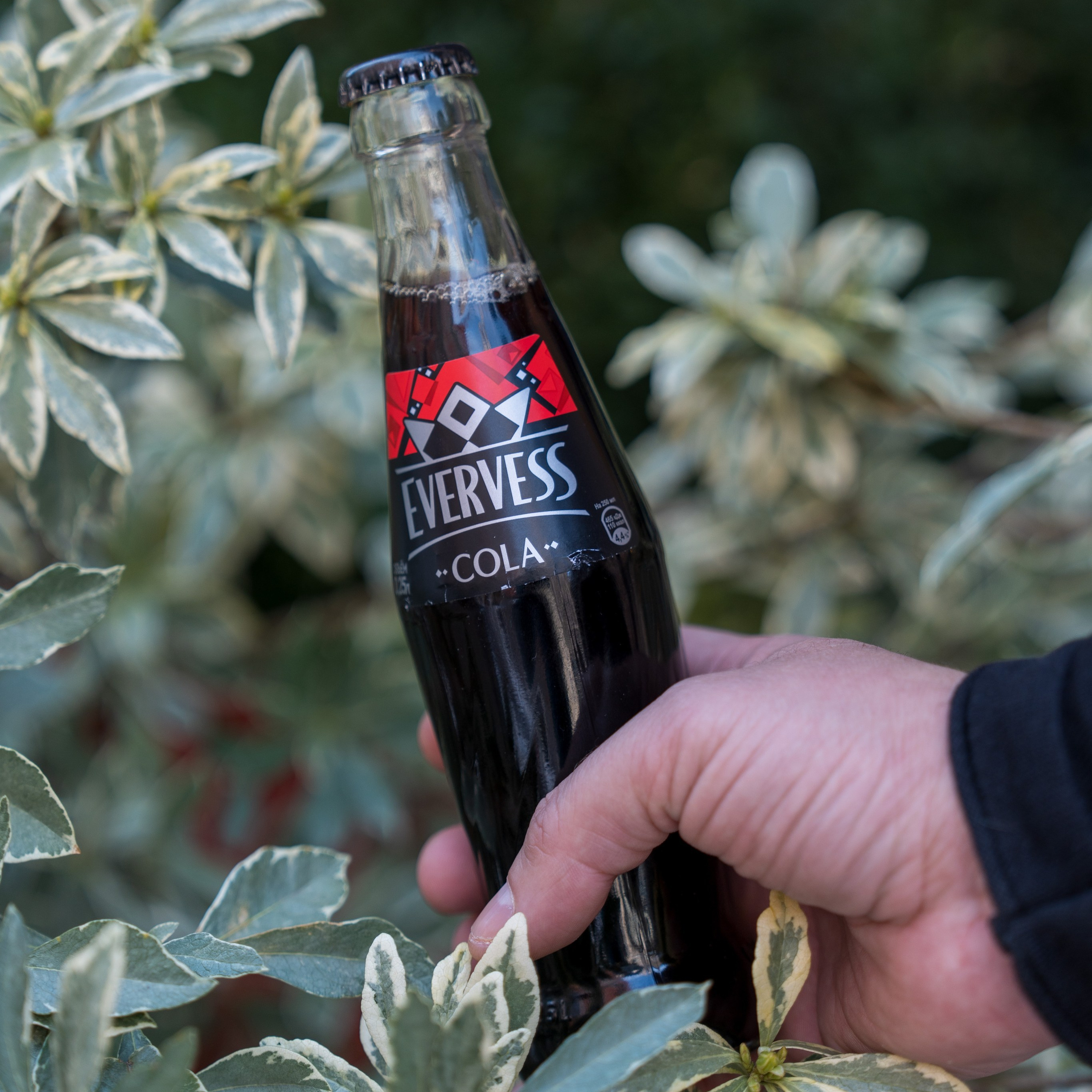 Компания «EVERVESS»: отчет с точек продаж на курортах Красной Поляны