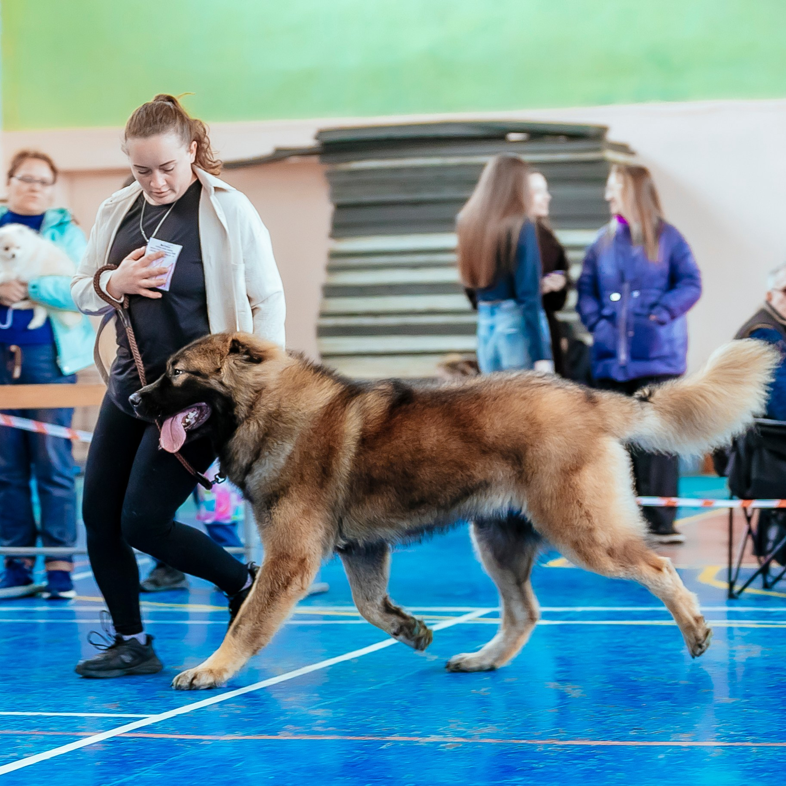 Спортзалы «40 пресетов». Фотограф — видеограф Алиса Дружинина