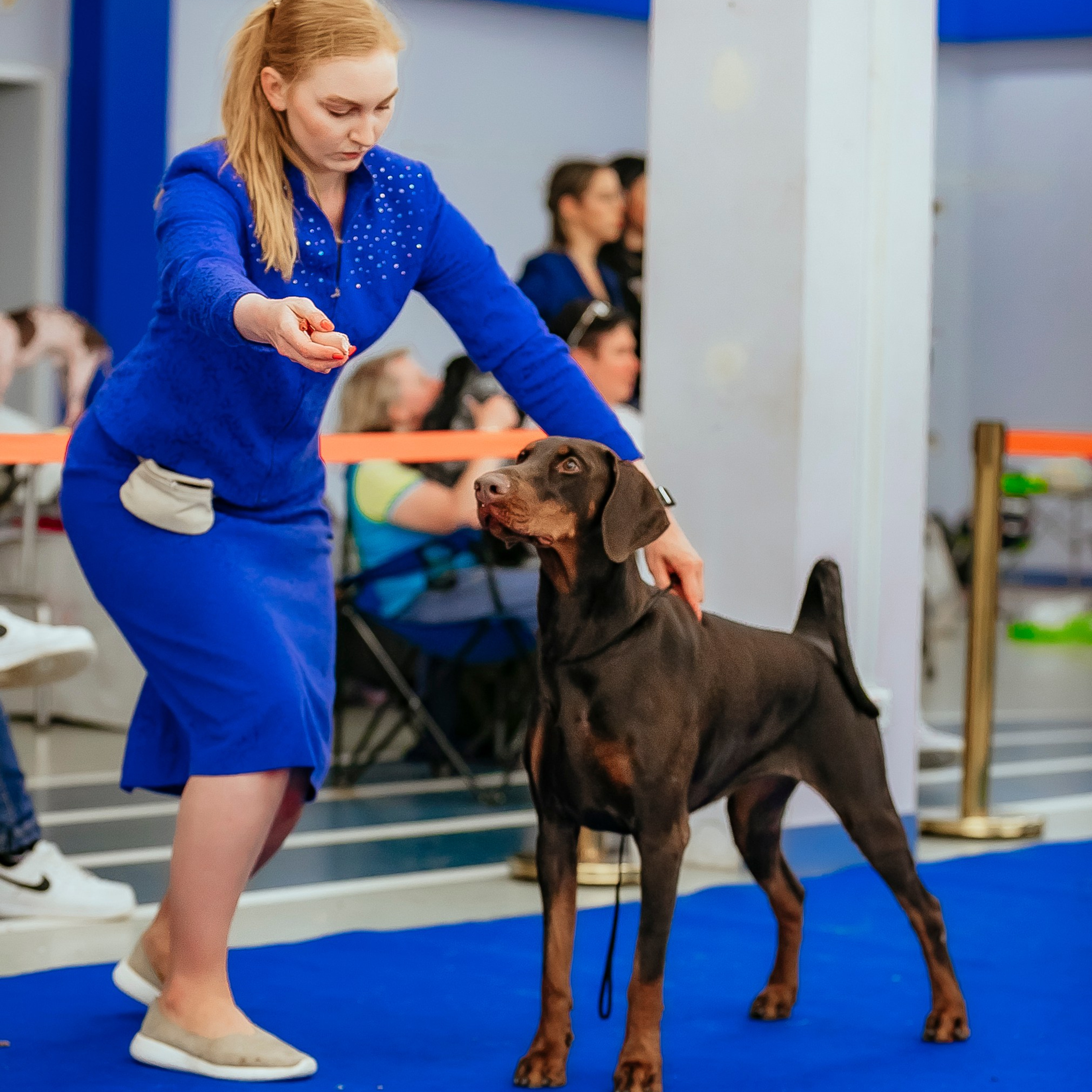 Спортзалы «40 пресетов». Фотограф — видеограф Алиса Дружинина