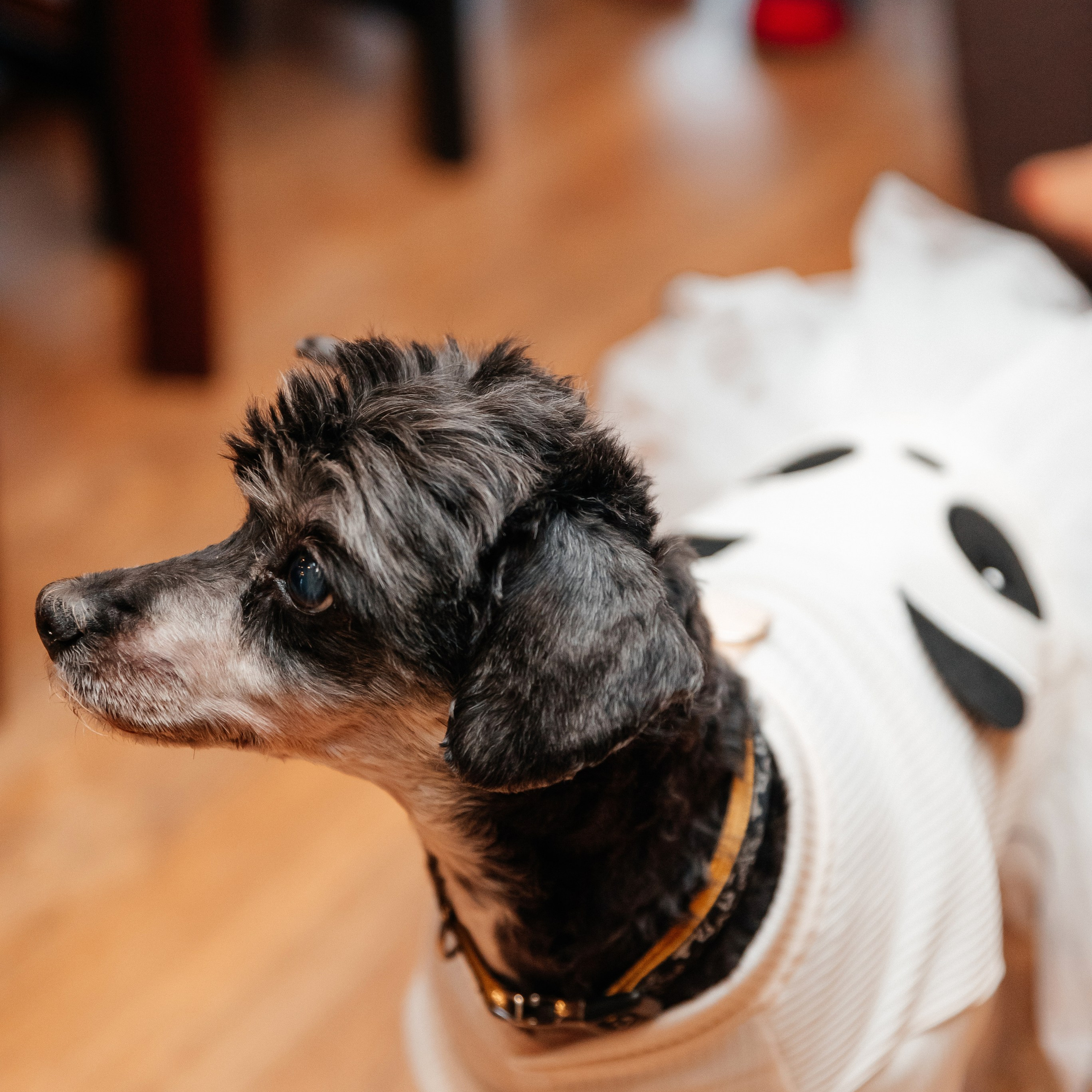 Отзывы. Свадебный и семейный фотограф в Туле Анастасия Чаликова