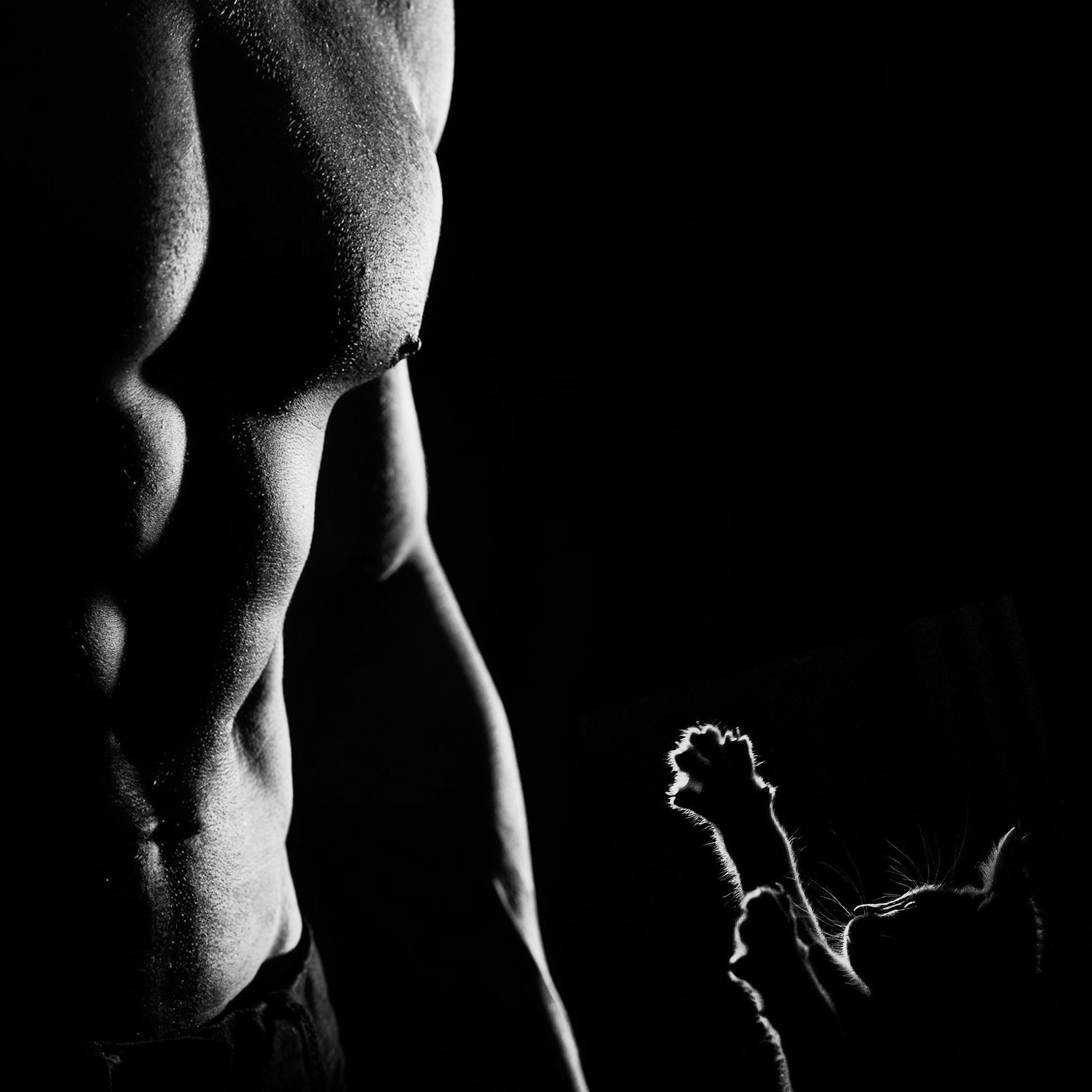 Календарь мужчины и киски