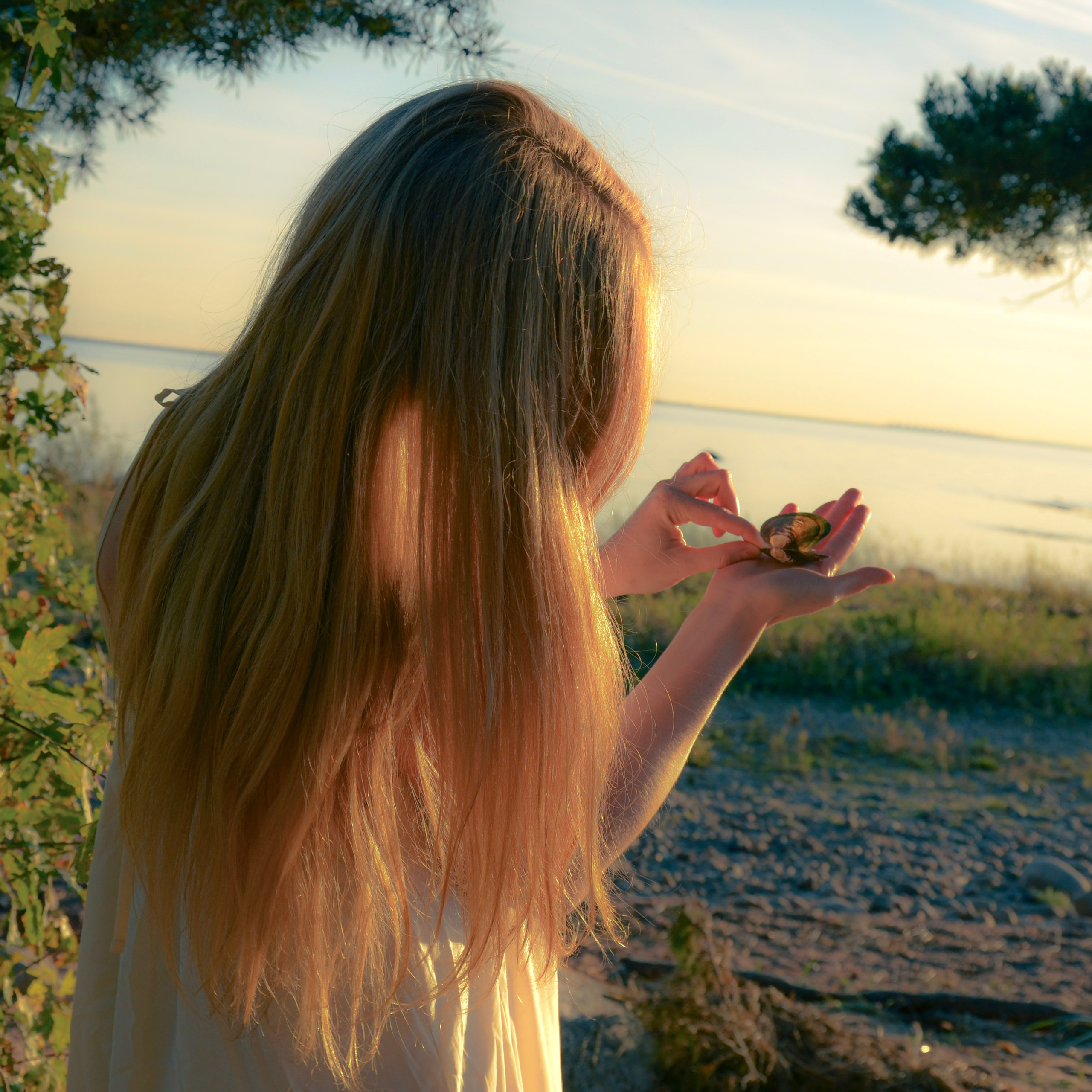 На берегу залива