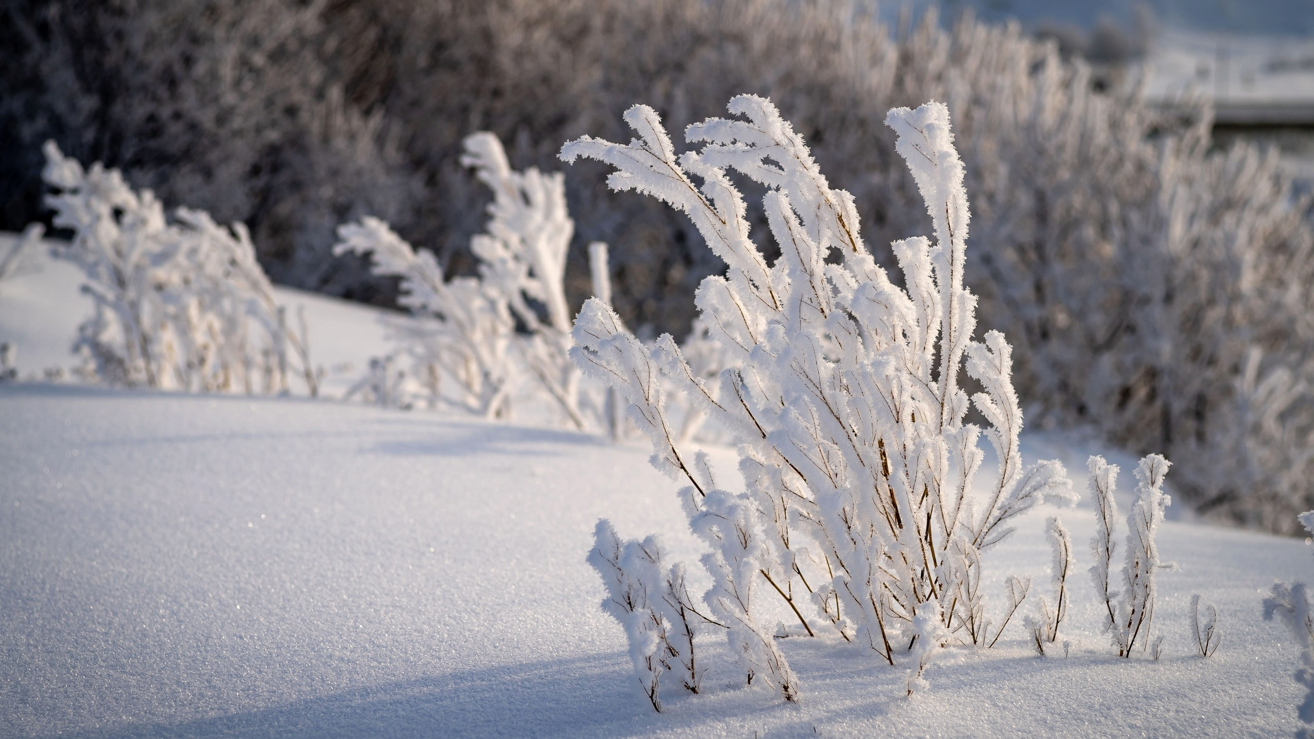 Пейзажи. ФЕСС-ФОТО/ВИДЕО
