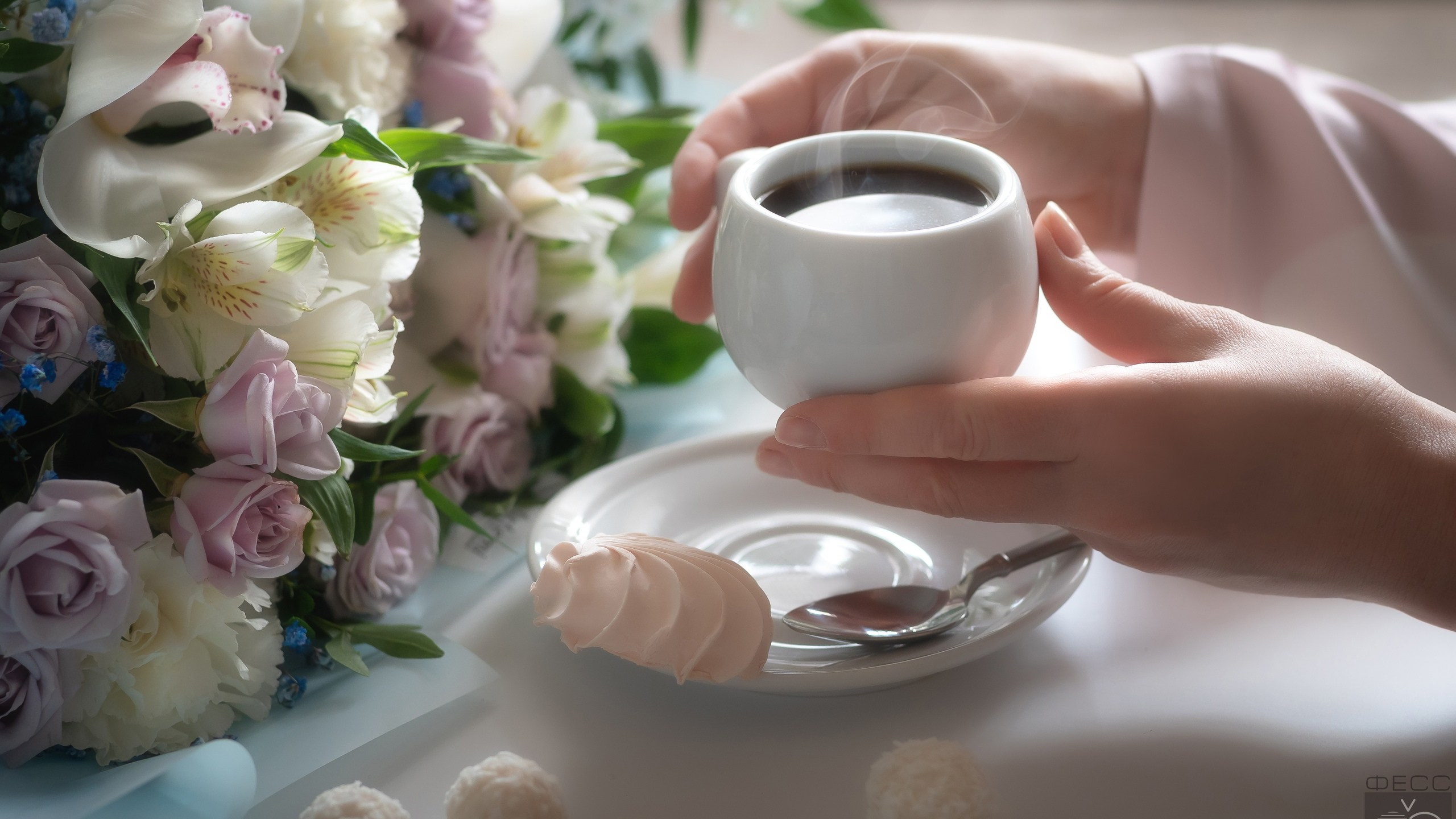 Предметка. ФЕСС-ФОТО/ВИДЕО