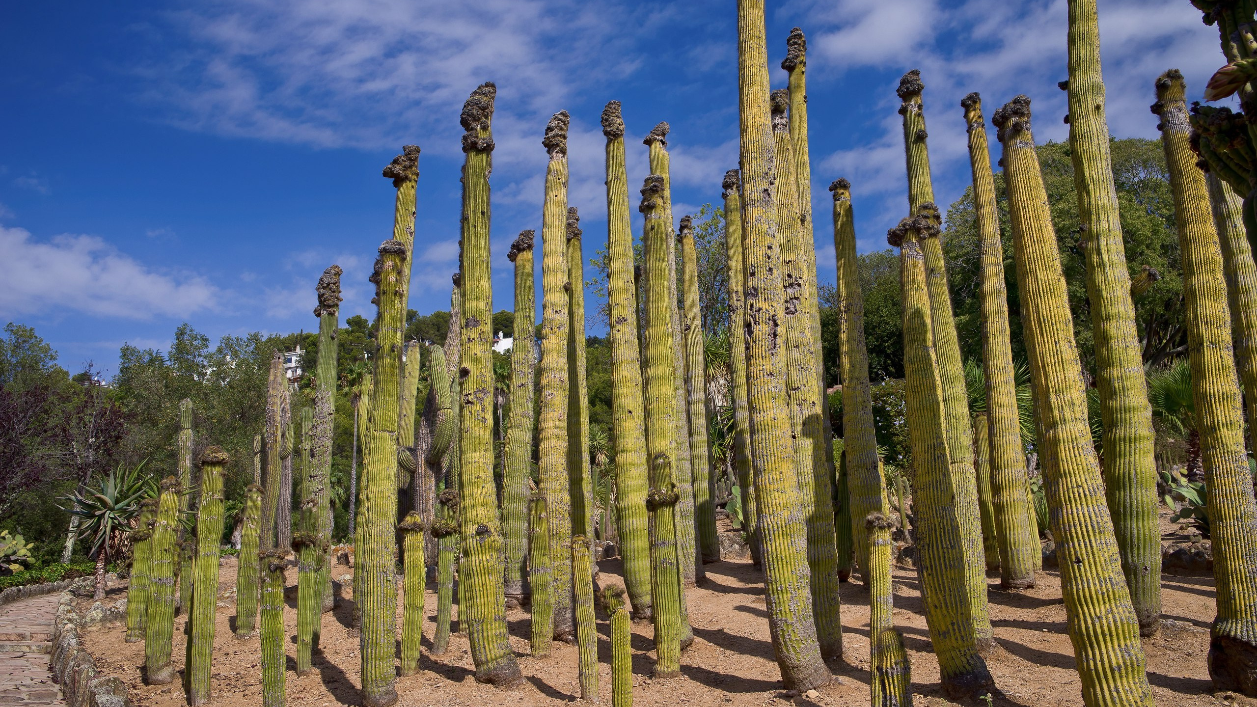 Пейзажи. ФЕСС-ФОТО/ВИДЕО