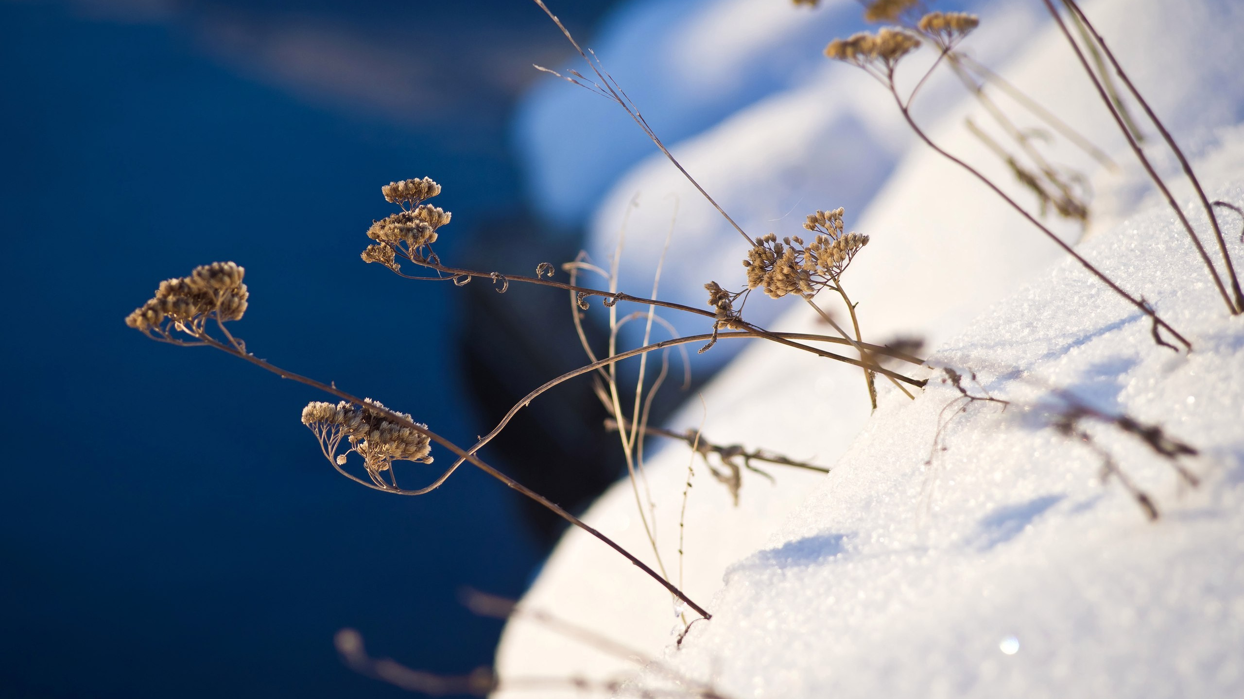 Пейзажи. ФЕСС-ФОТО/ВИДЕО