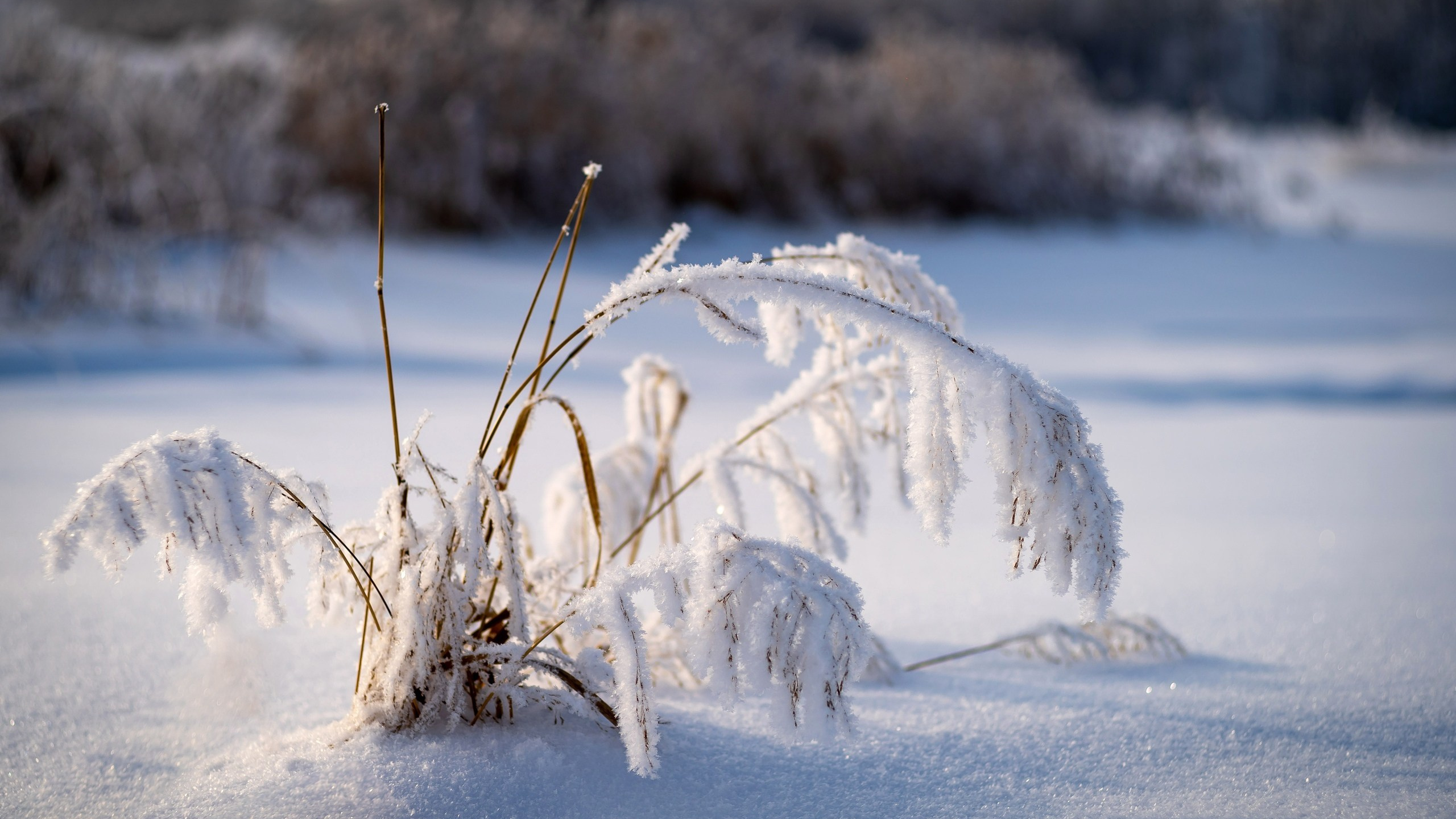 Пейзажи. ФЕСС-ФОТО/ВИДЕО