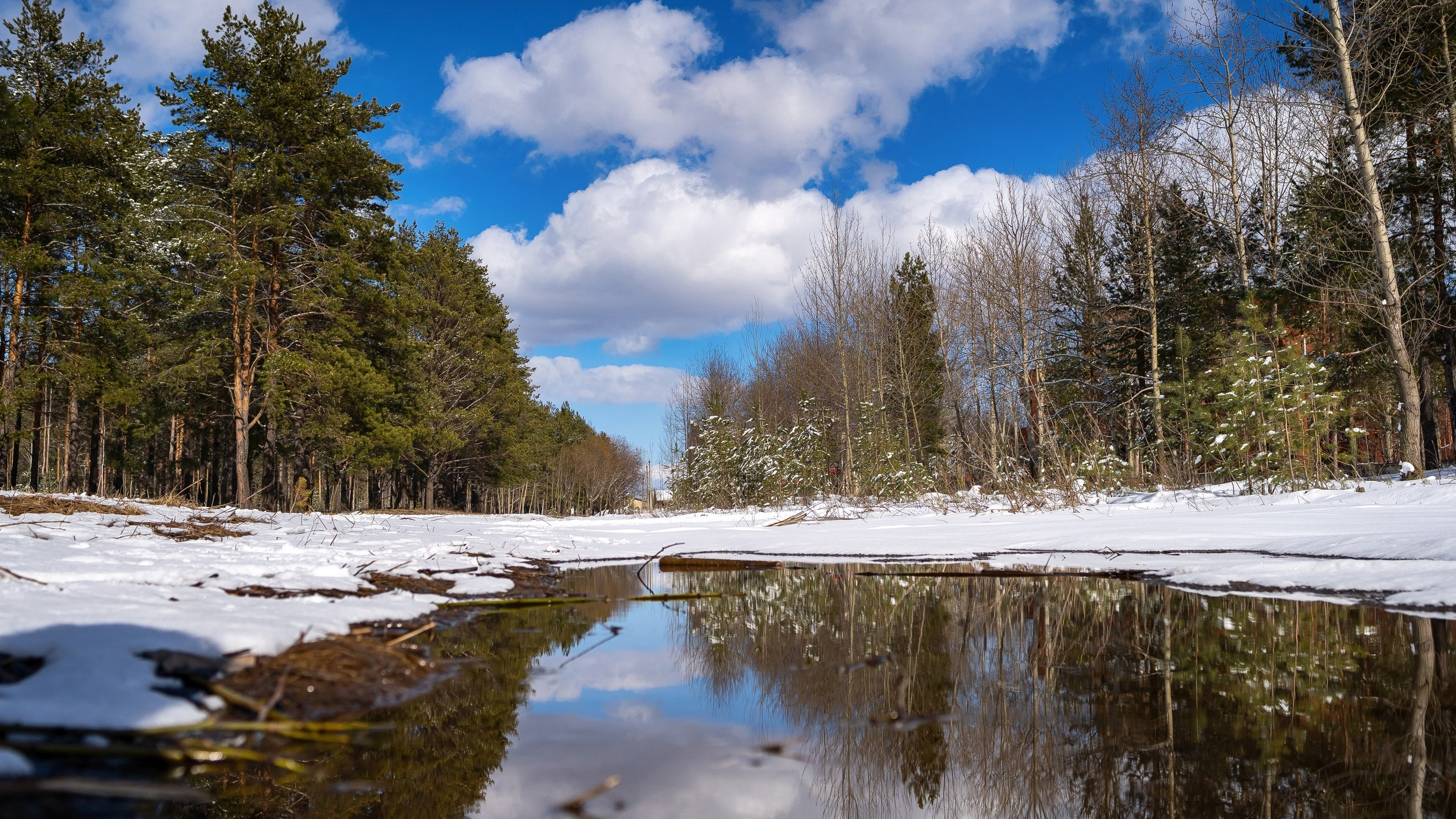 Пейзажи. ФЕСС-ФОТО/ВИДЕО