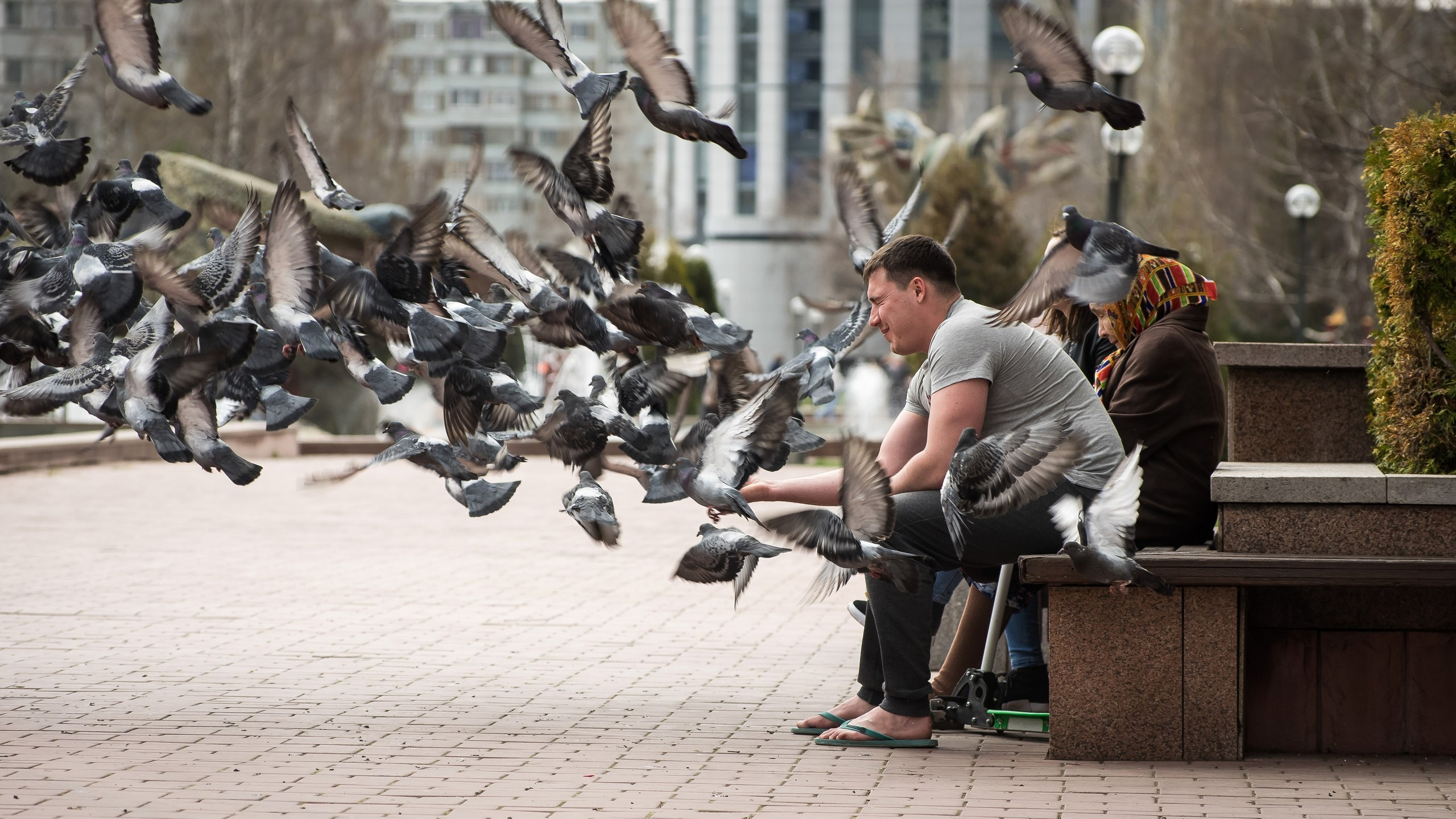 Пейзажи. ФЕСС-ФОТО/ВИДЕО