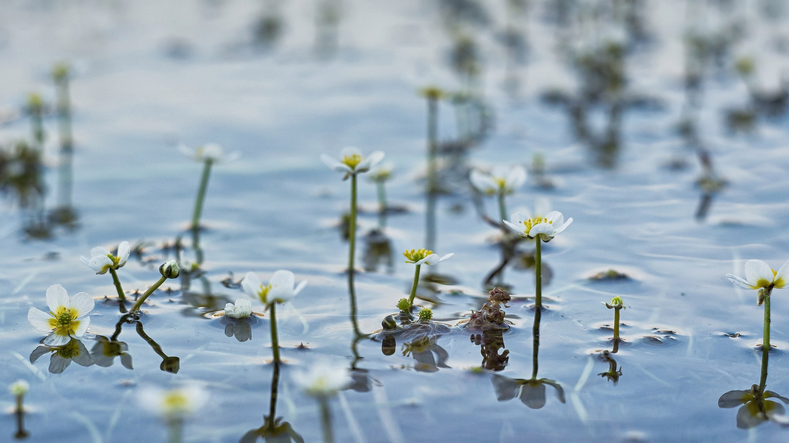 Пейзажи. ФЕСС-ФОТО/ВИДЕО