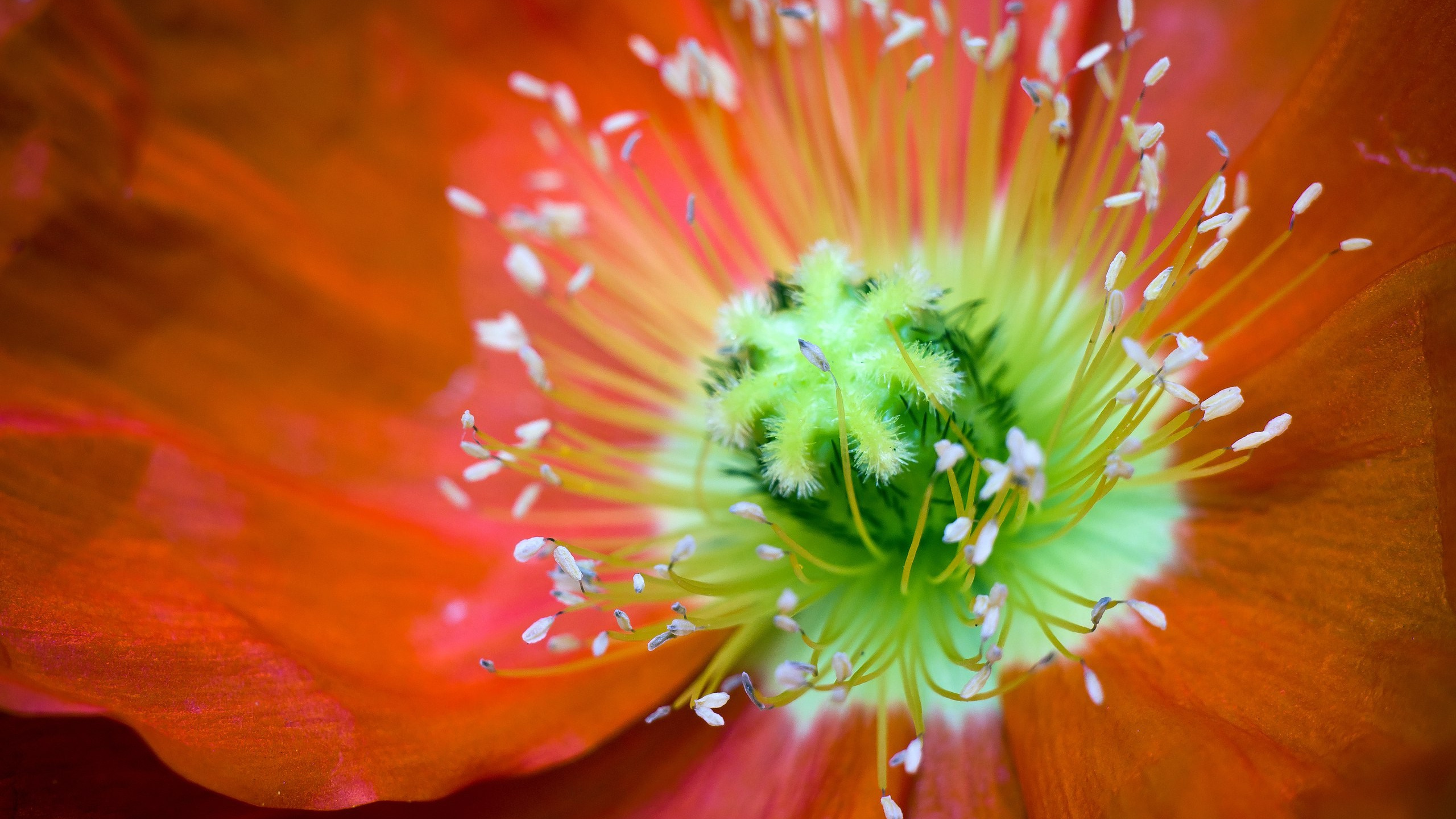 Пейзажи. ФЕСС-ФОТО/ВИДЕО