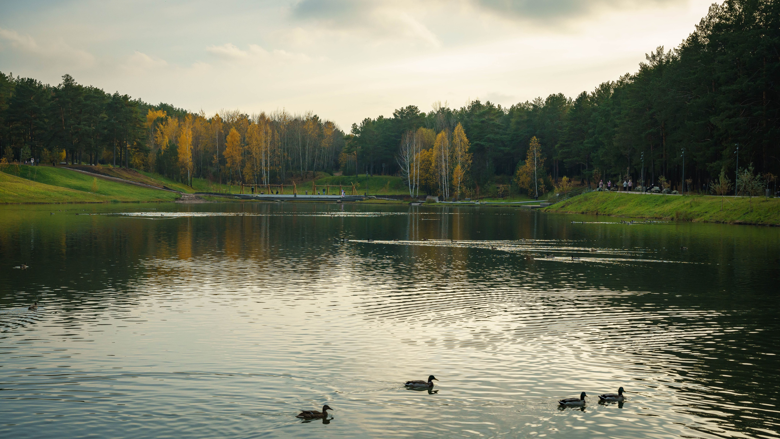 Пейзажи. ФЕСС-ФОТО/ВИДЕО