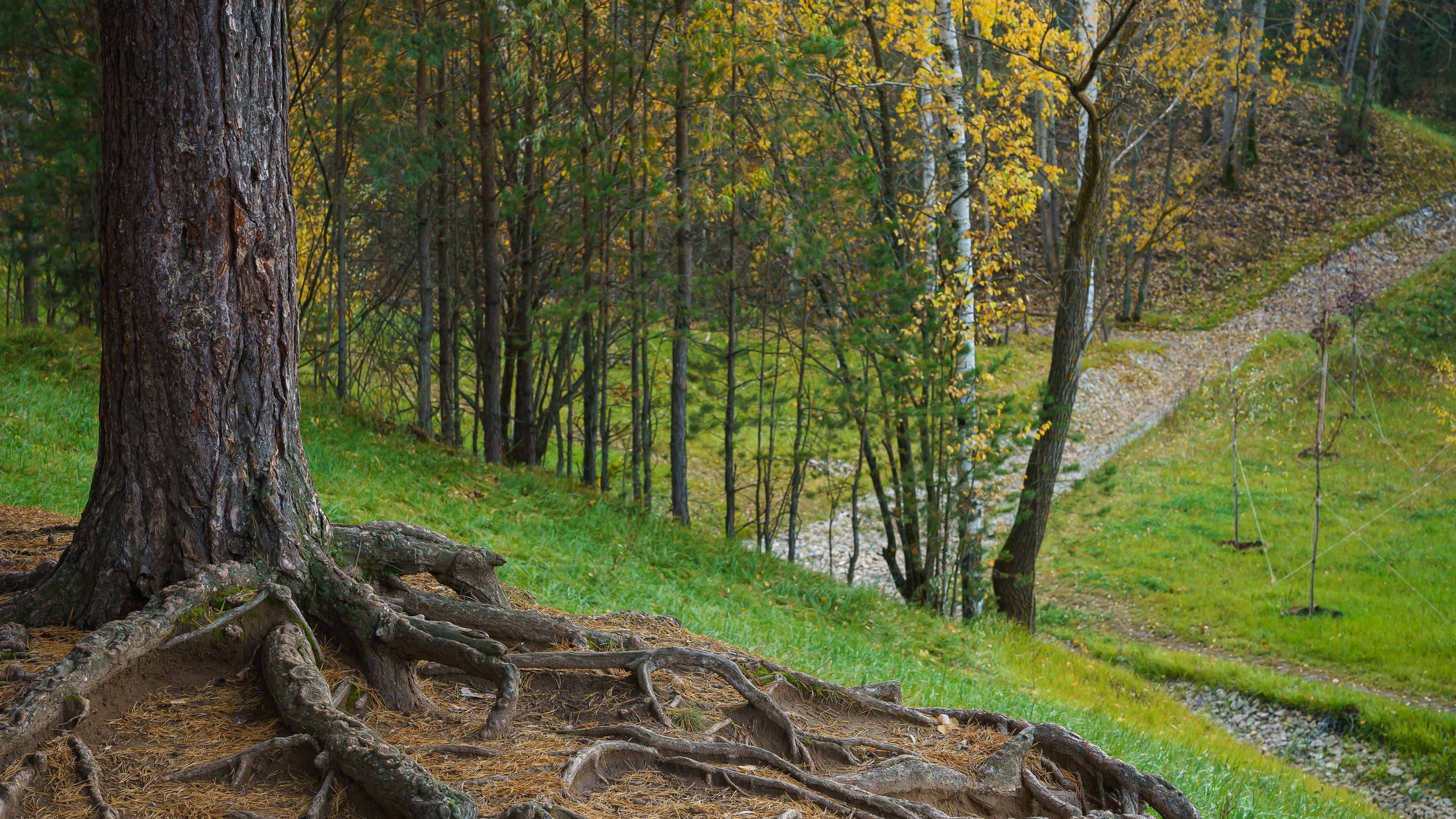 Пейзажи. ФЕСС-ФОТО/ВИДЕО