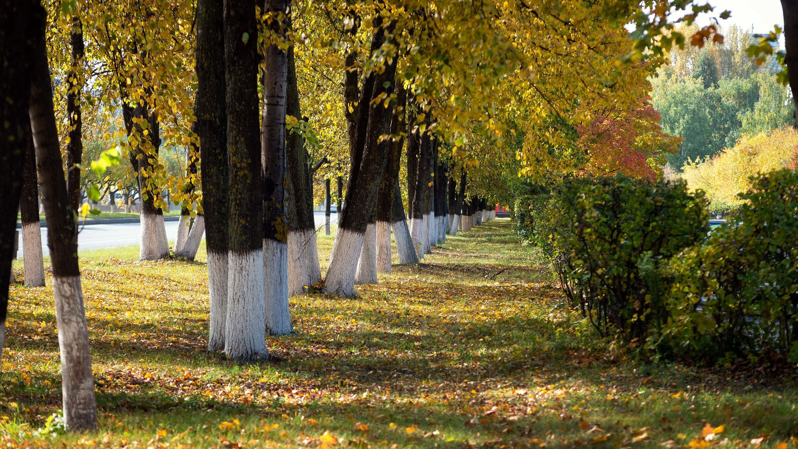 Пейзажи. ФЕСС-ФОТО/ВИДЕО
